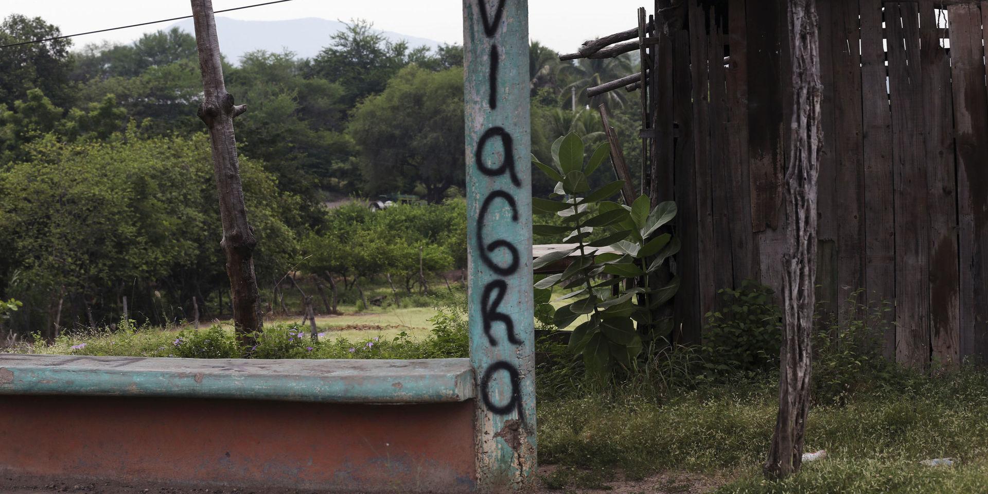 En väpnad gren av brottskartellen La Familia Michoacan, kallad Viagra, markerar sitt revir i de drabbade delstaterna Michoacan och Jalisco. Arkivbild.