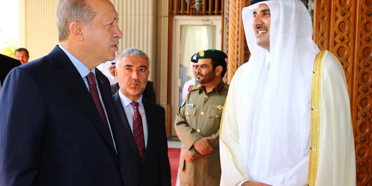 Qatars emir Tamim bin Hamad Al Thani (till höger) vid ett möte med Turkiets president Recep Tayyip Erdogan. Arkivbild.