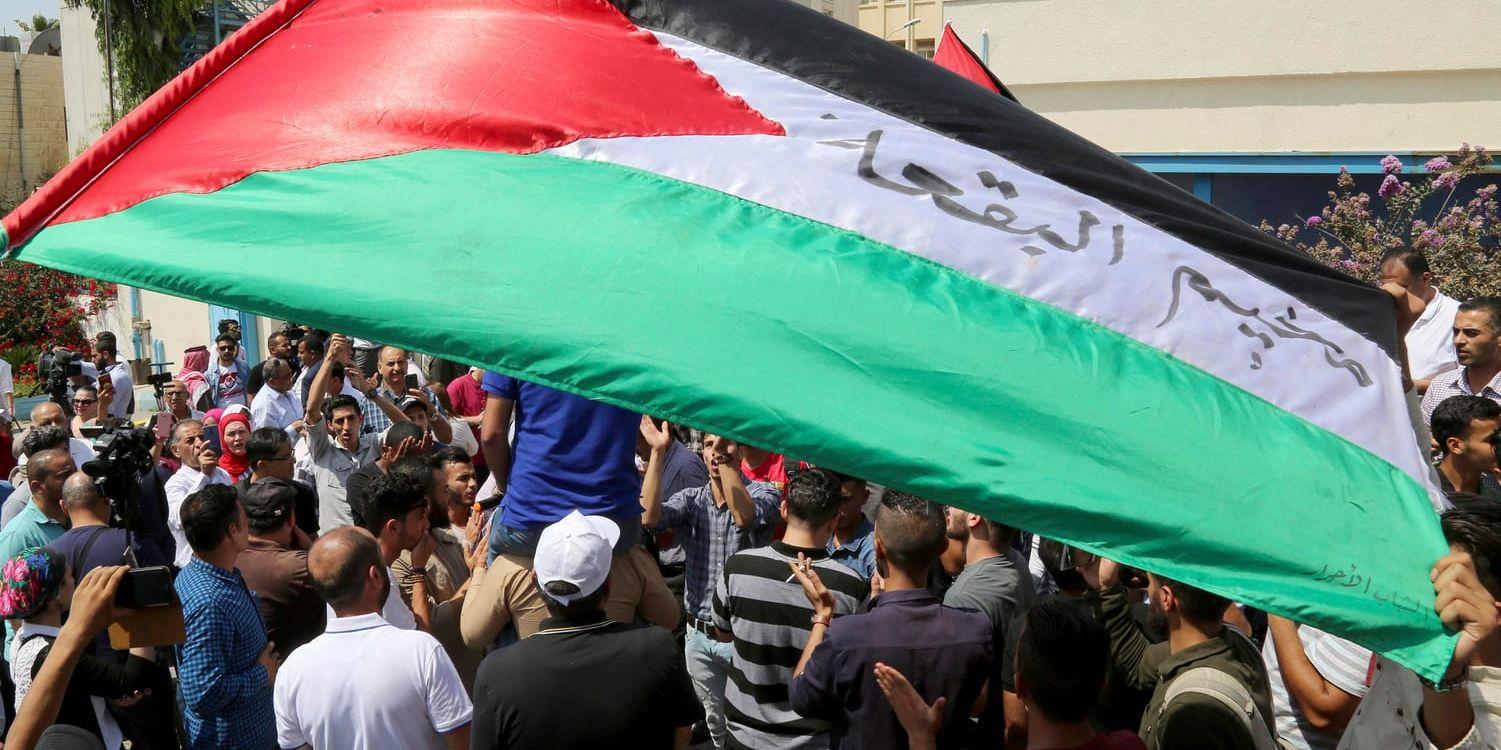 Palestinska flyktingar håller upp flaggor och skanderar mot USA:s beslut att strypa bidrag till FN:s organ för palestinska flyktingar (UNRWA). Protesten ägde rum i Amman i Jordanien i söndags.