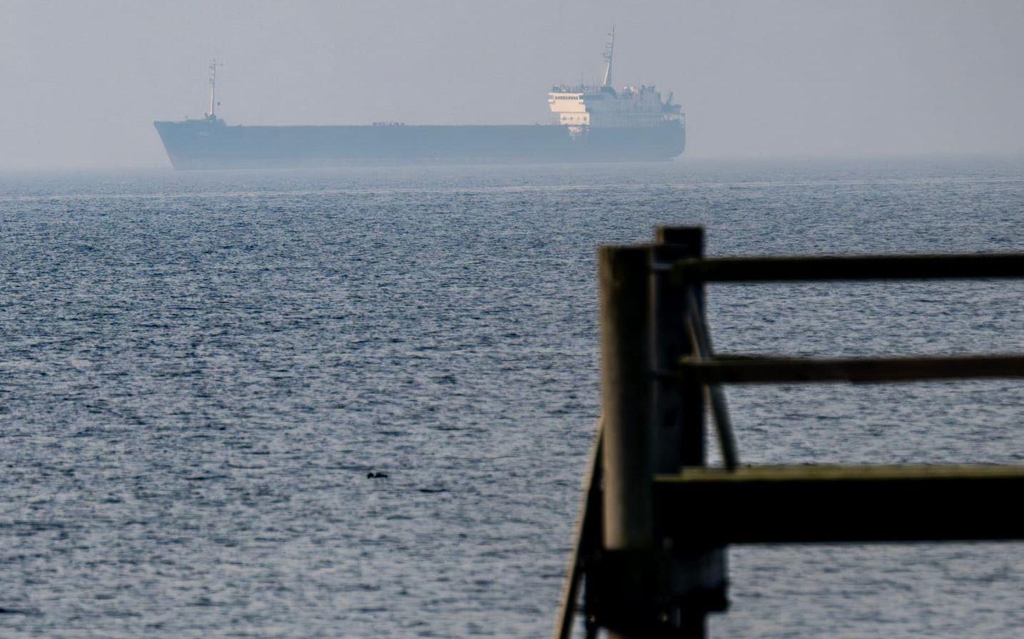 Det bordade bulkfartyget Caffa ankrat utanför Trelleborg. Arkivbild.