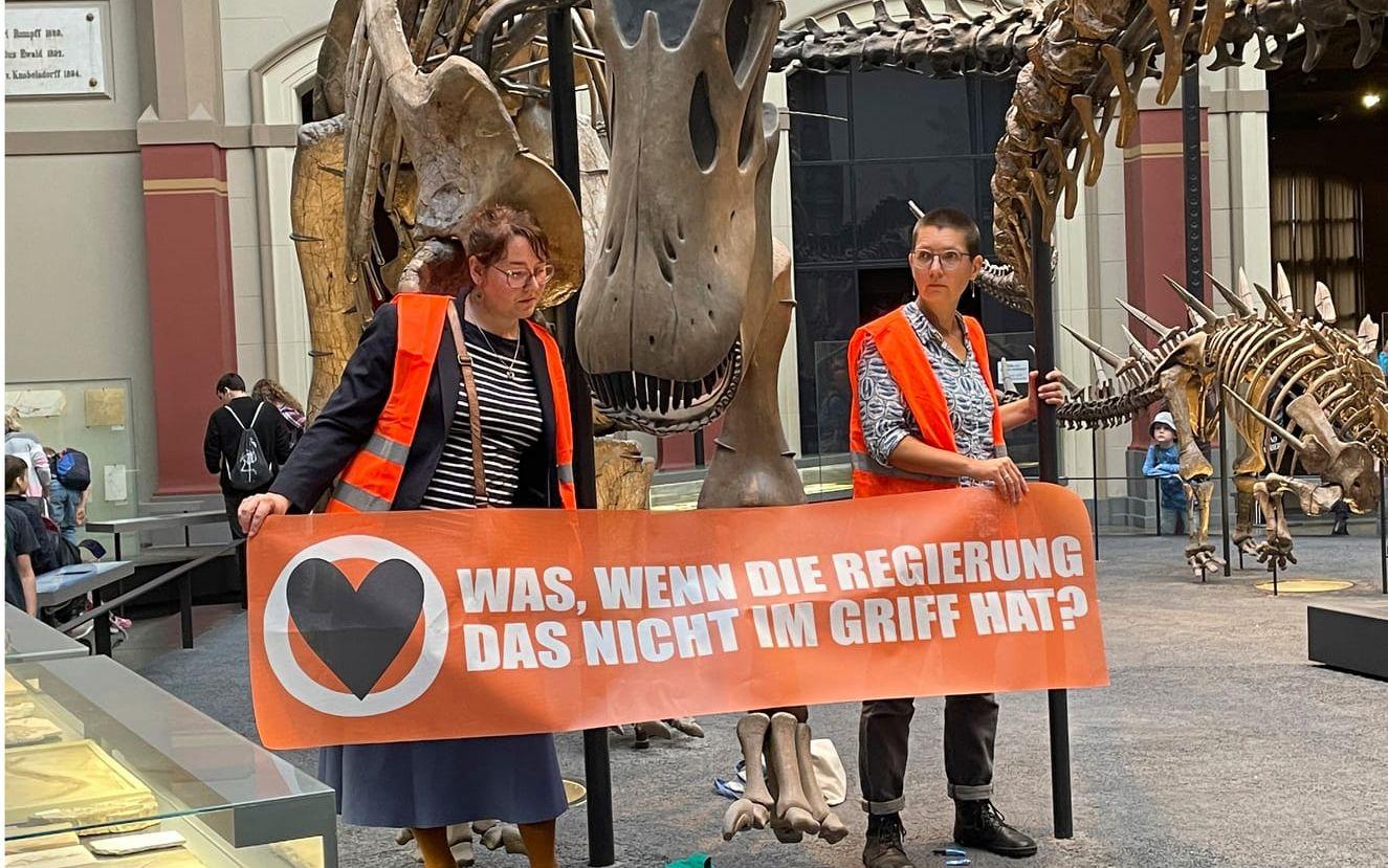Ytterligare två klimataktivister limmade fast sig vid ett dinosaurieskelett på Berlins naturhistoriska museum. 