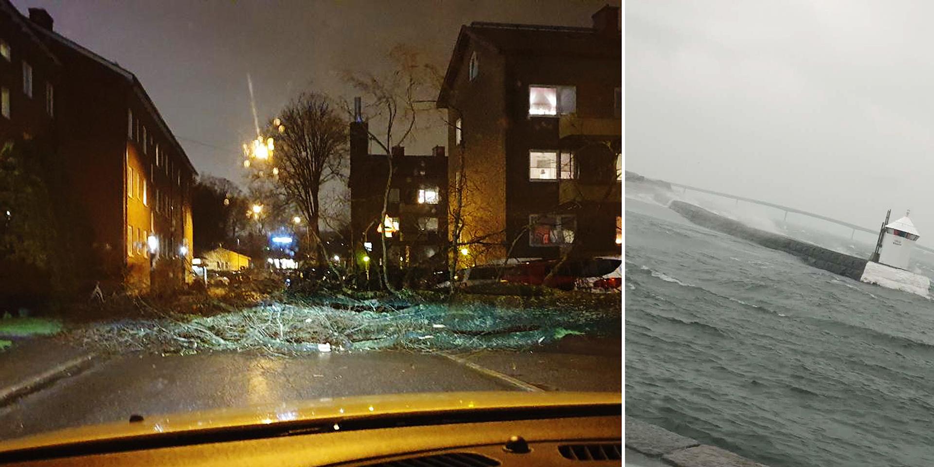 GP-läsarna skickade in bilder på stormens verkningar under gårdagskvällen.
