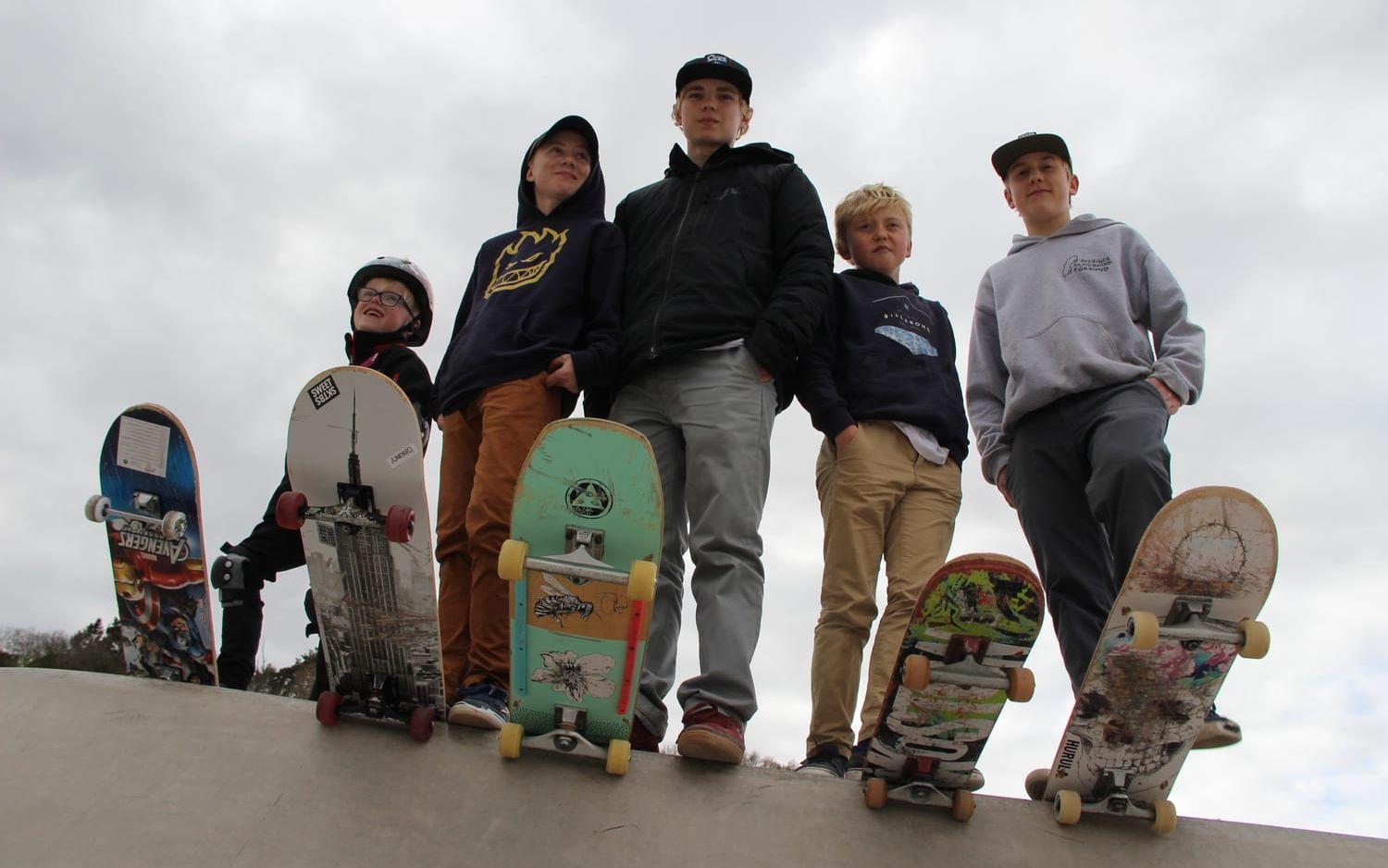 Gillar betongparken. Skateboardåkare från vänster: Olle Sterling, Oliver Granhage, Noel Granhage, Malte Crook och Wilhelm Crook. Bild: Martin Björklund