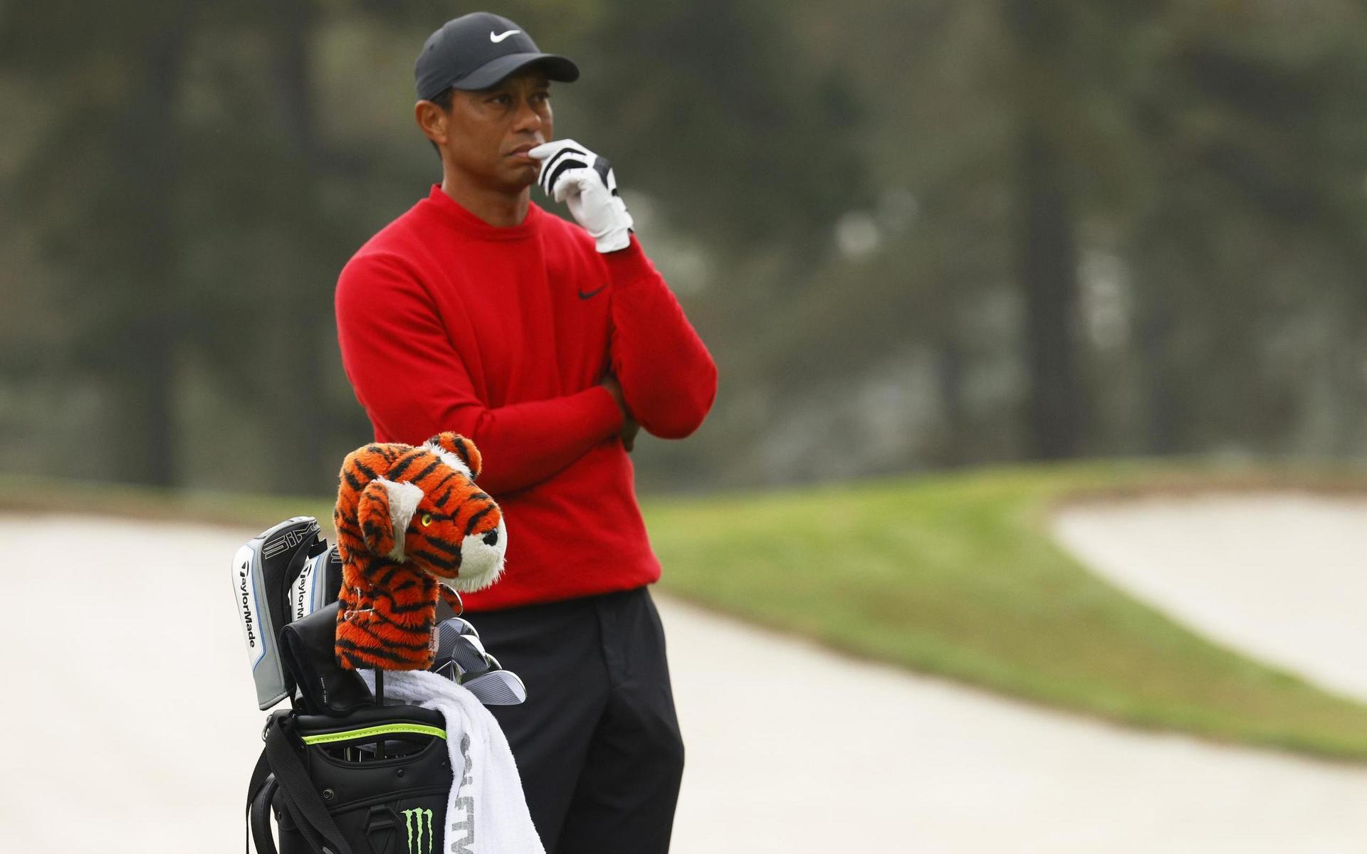 Golflegendaren Tiger Woods var med om en allvarlig olycka på tisdagsmorgonen lokal tid. 