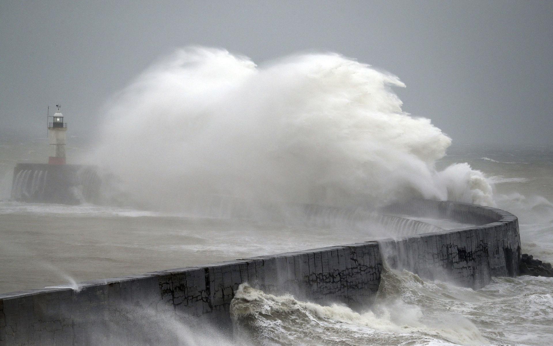 Hårda vindar och mycket regn kommer att dra in över Sverige under helgen. Arkivbild.