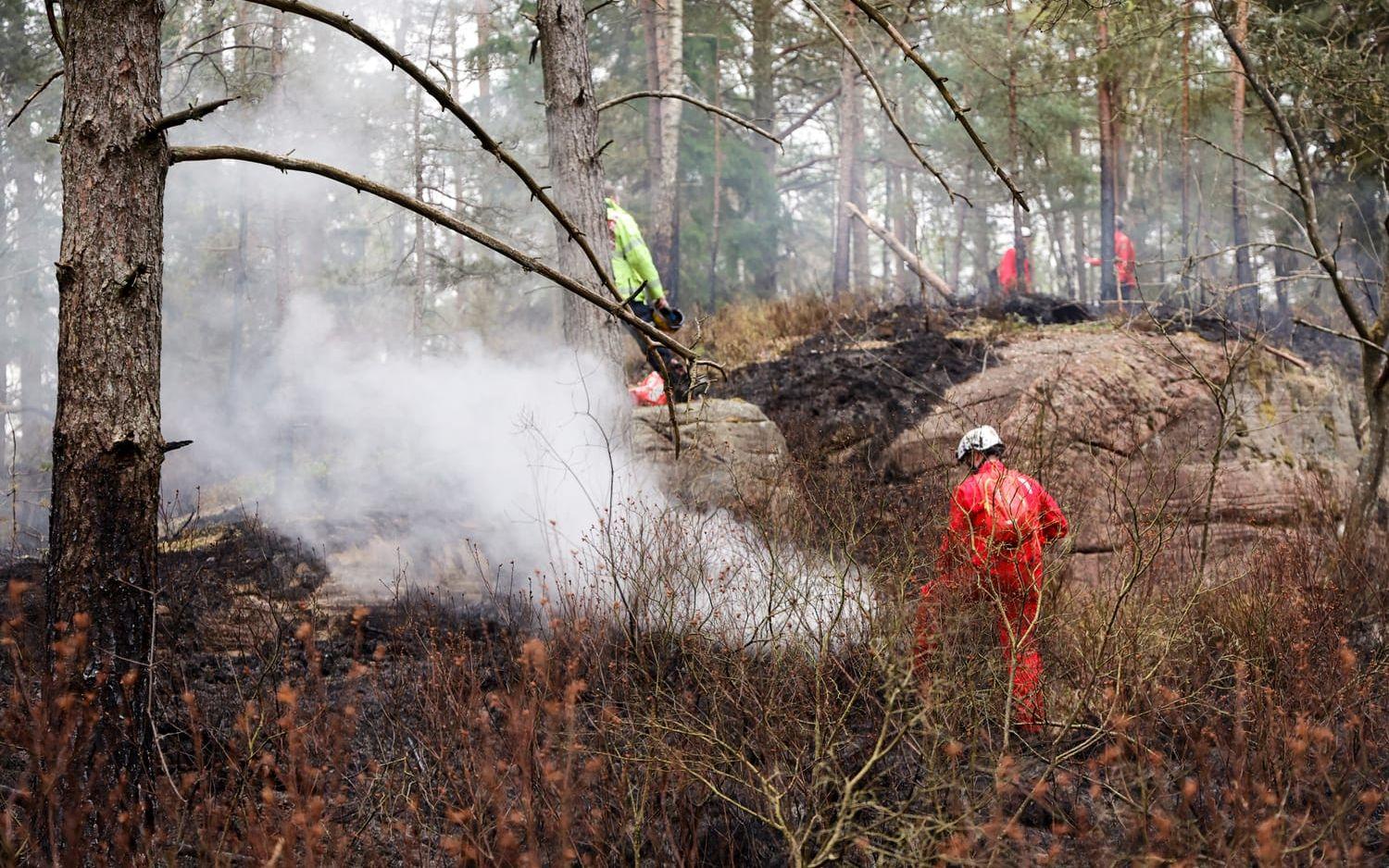 En skogsbrand bröt under lördagen ut i Delsjöområdet i Göteborgs kommun.