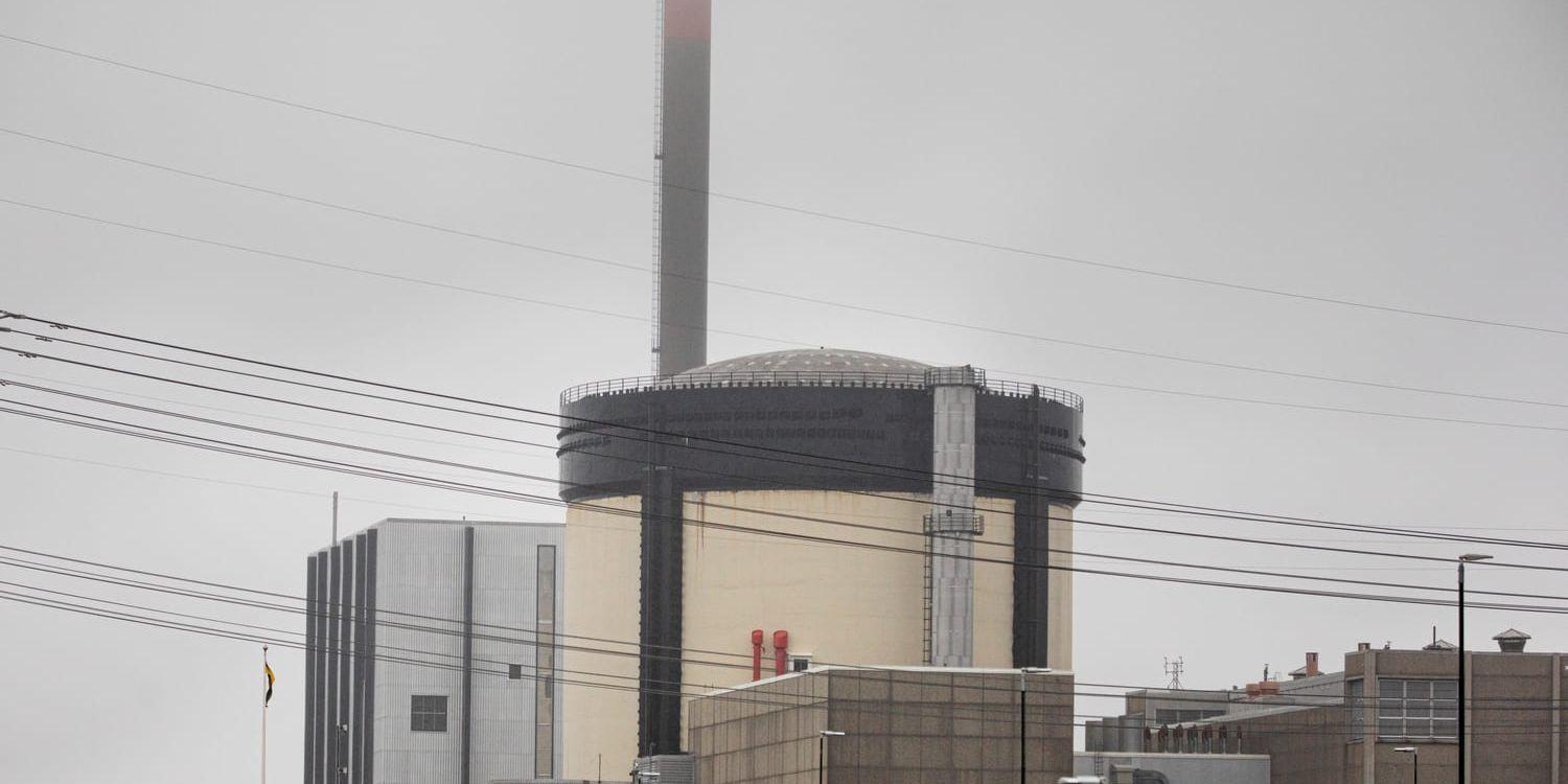 Västsvenska Ringhals hör till de kärnkraftverk som byggdes av statliga Vattenfall, men alla kärnkraftverk hade statlig uppbackning vid sin tillkomst.  