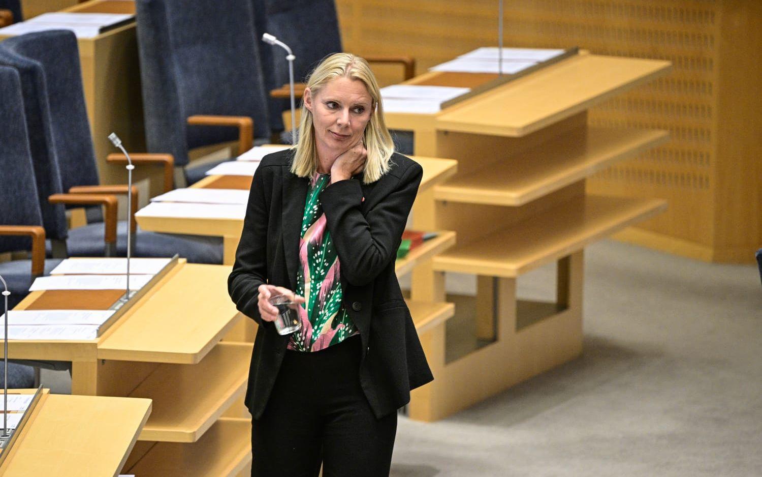 Åsa Westlund (S). Arkivbild.