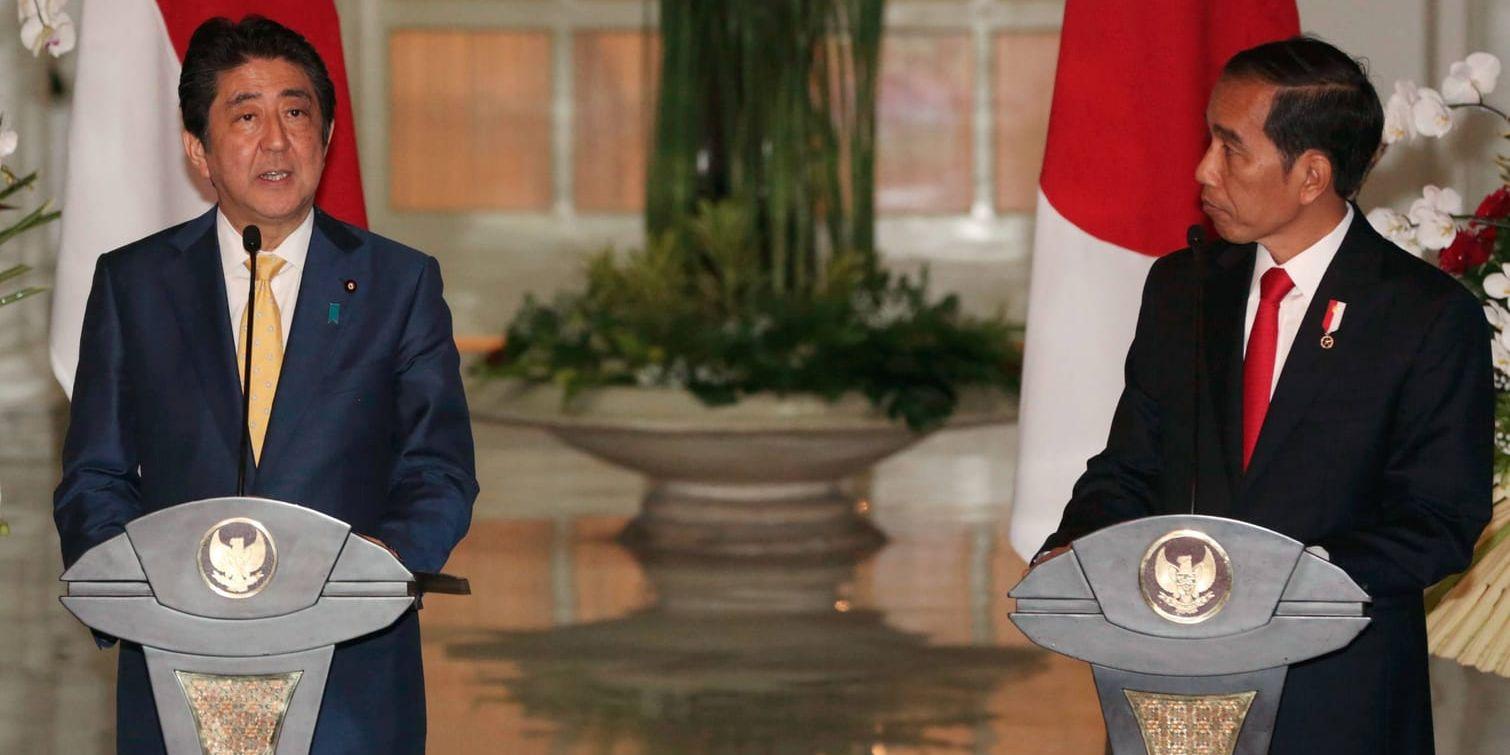 Japans premiärminister Shinzo Abe och Indonesiens president Joko Widodo är överens om att bygga upp ett militärt samarbete till havs.