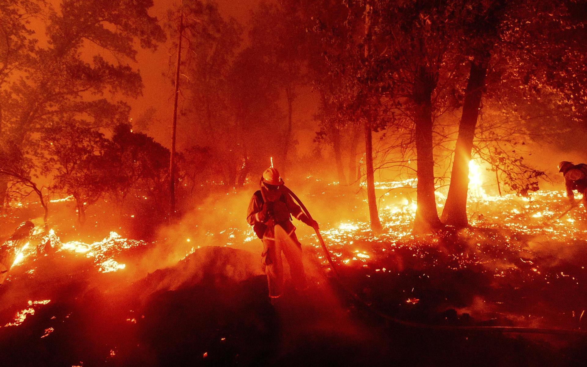 En brandman kämpar mot elden i Mariposa County i Kalfornien den 7 september. 
