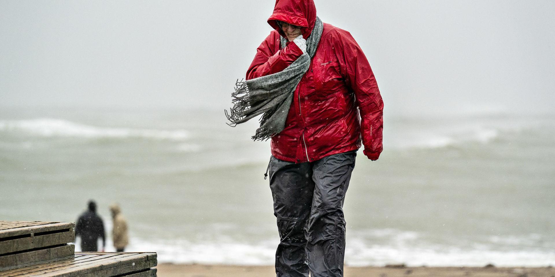 En person i Klitmøller i nordvästra Danmark promenerar på stranden under stormen Ciara. Bild från 9 februari. 