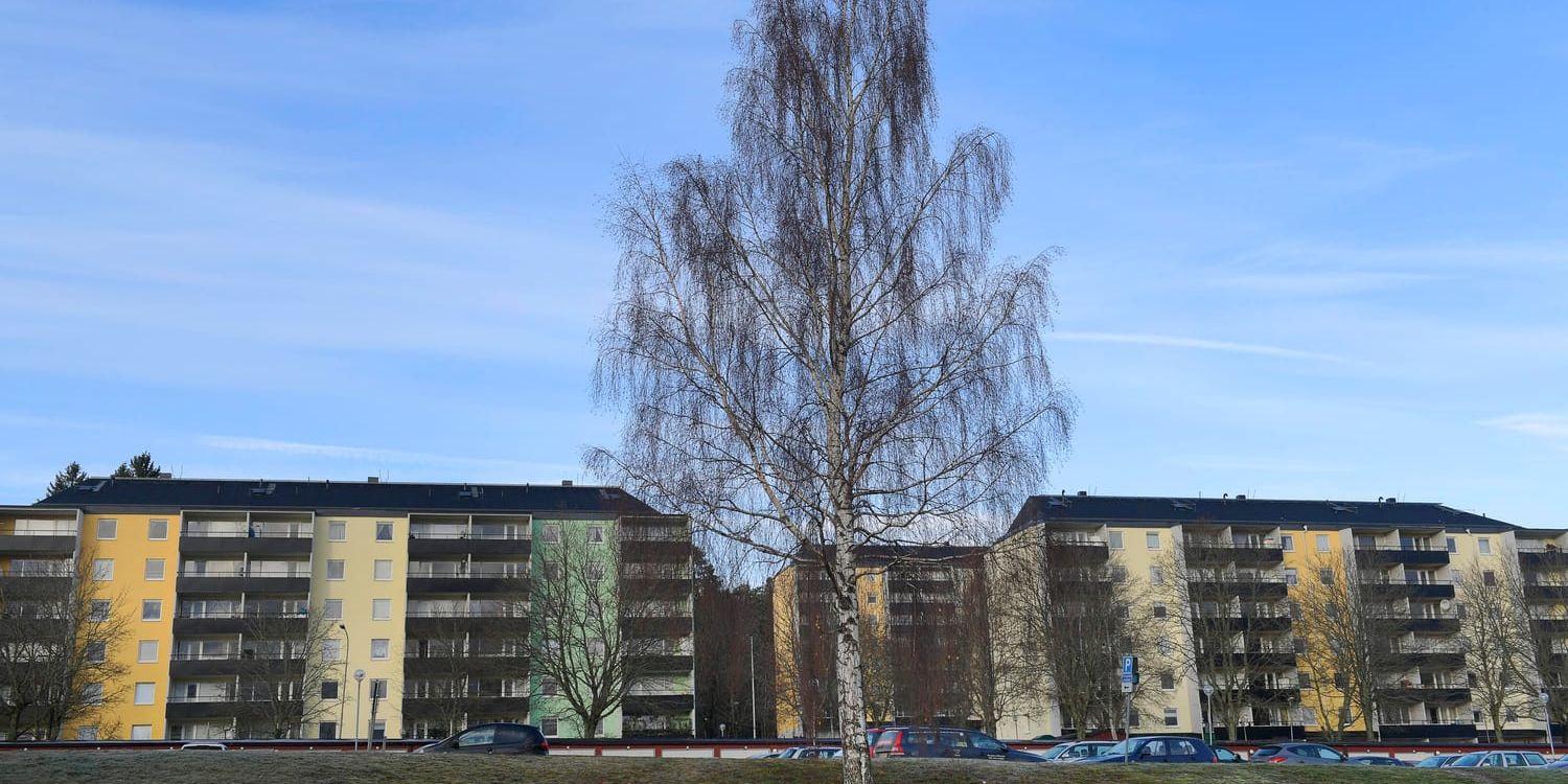Stadsdelen Ronna i nordvästra Södertälje anses i polisens senaste lägesbild över kriminell påverkan i lokalsamhället vara ett så kallat "särskilt utsatta område". Arkivbild.