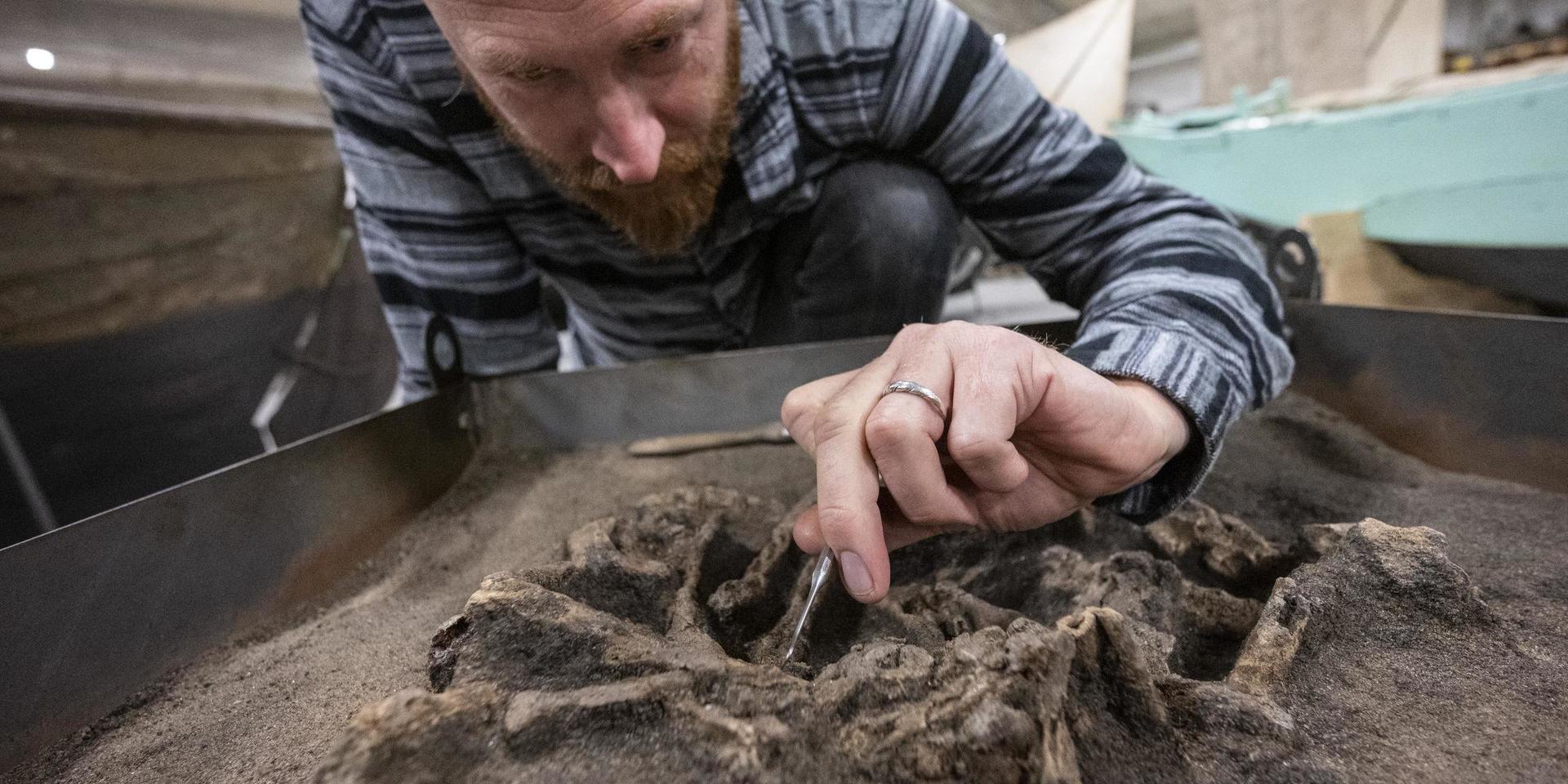 Osteolog Ola Magnell vid den frampenslade stenåldershunden.