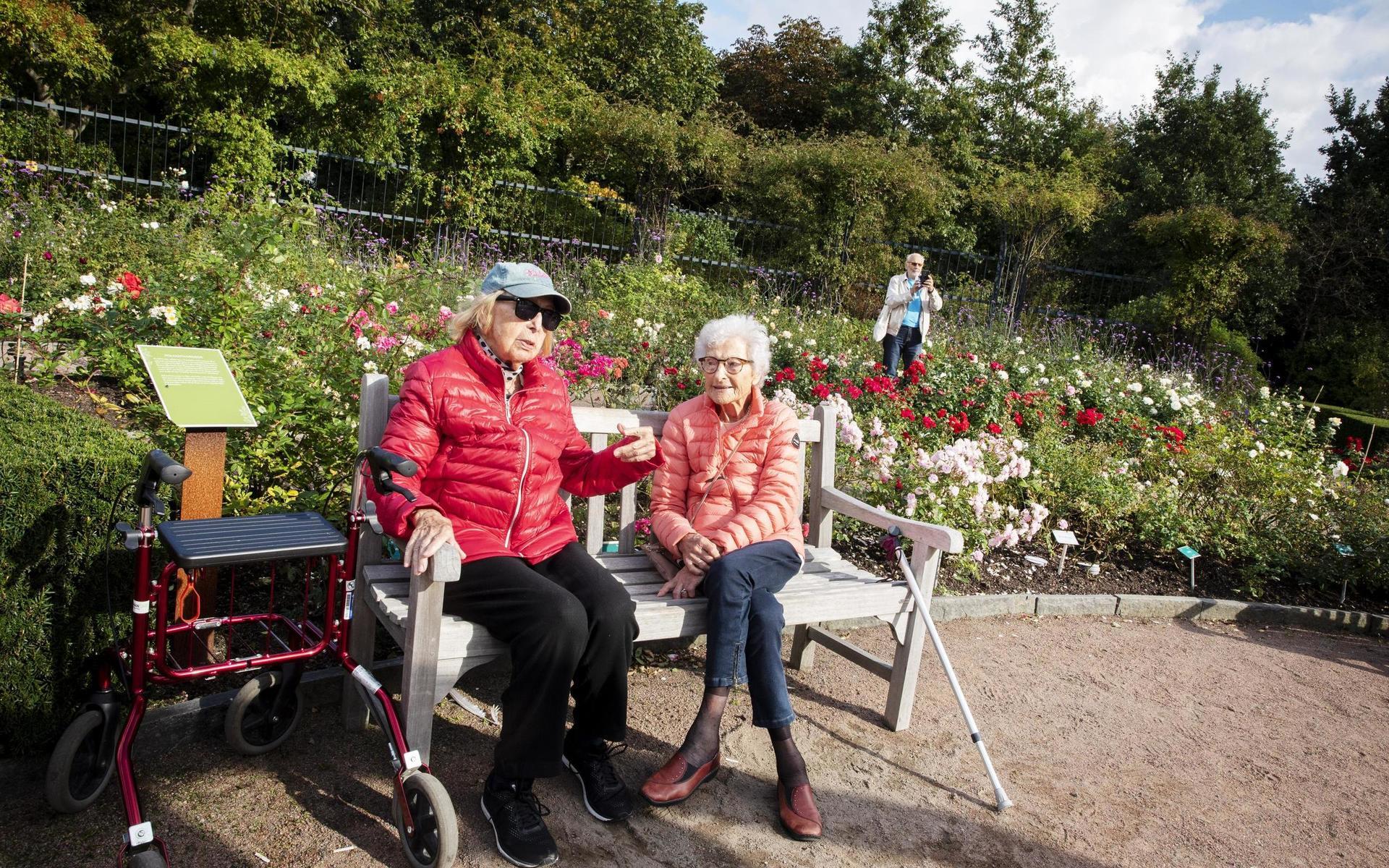 Märta Olsson och Berit Mellberg njuter av solen i rosenträdgården inne i Trädgårdsföreningen. – Det är fantastiskt, det är snart oktober och man kan sitta ute och ha det skönt. Vi brukar gå hit och sätta oss, säger Märta Olsson.