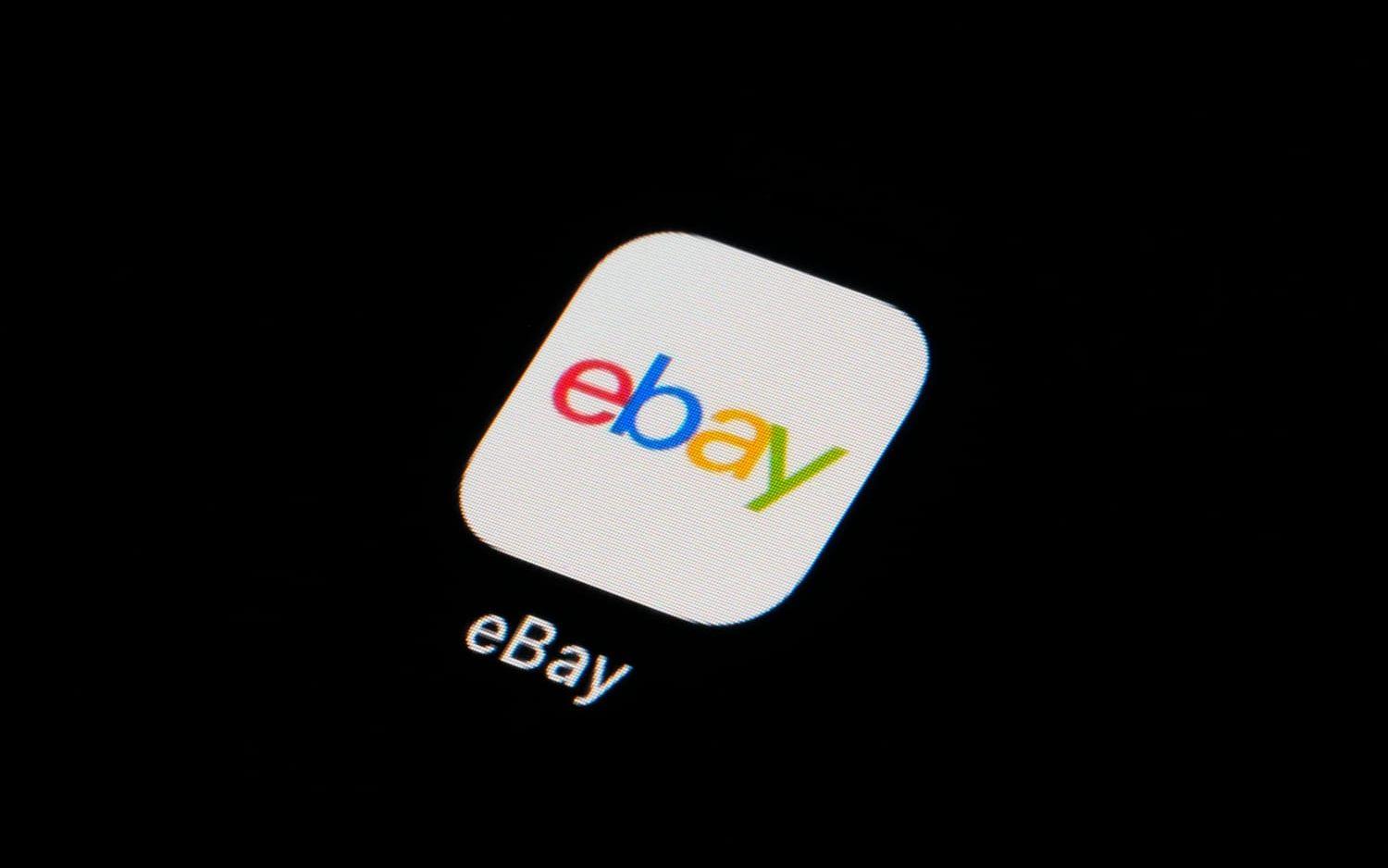 Spelbutikskedjan Gamestop har lagt ett bud för att ta över Ebay. Arkivbild.