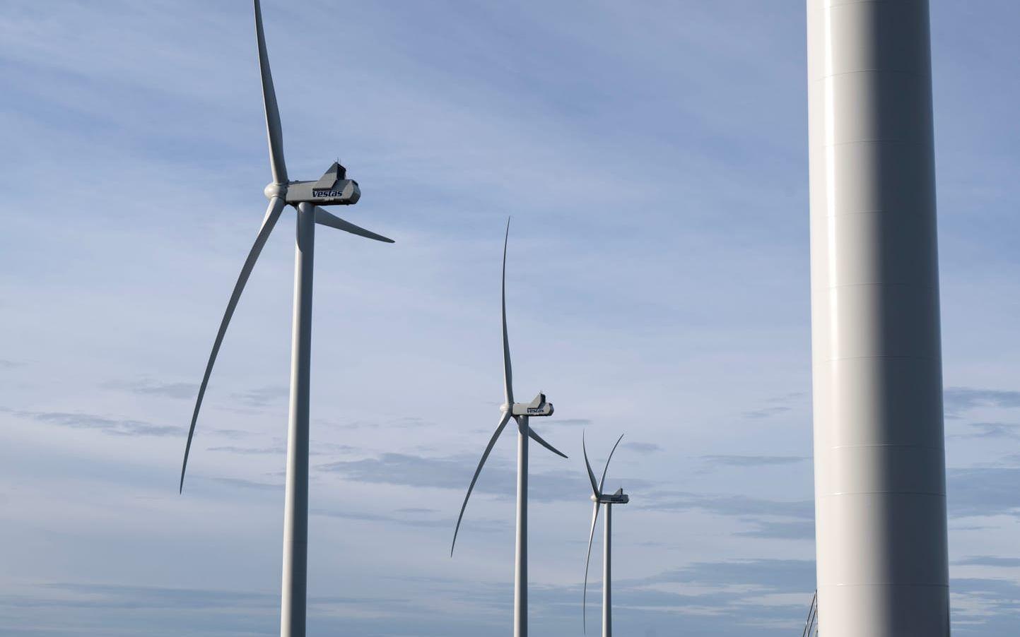 Branschorganisationen Wind Europe har analyserat tusentals inlägg om vindkraft. Arkivbild.