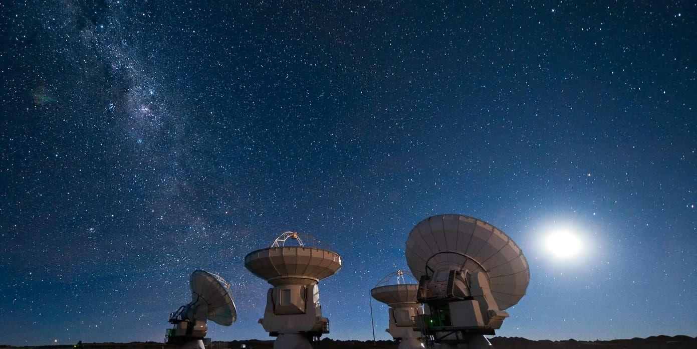 Alma-teleskopet i Atacamaöknen i Chile är ett av radioteleskopen som använts för att ta fram den allra första bilden av ett svart hål. Arkivbild.