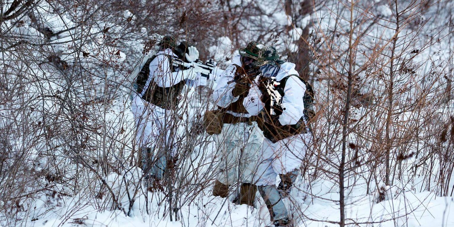 Amerikanska marinsoldater under övning. Arkivbild.