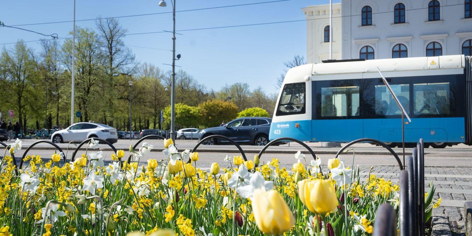 En spårvagn på Avenyn.