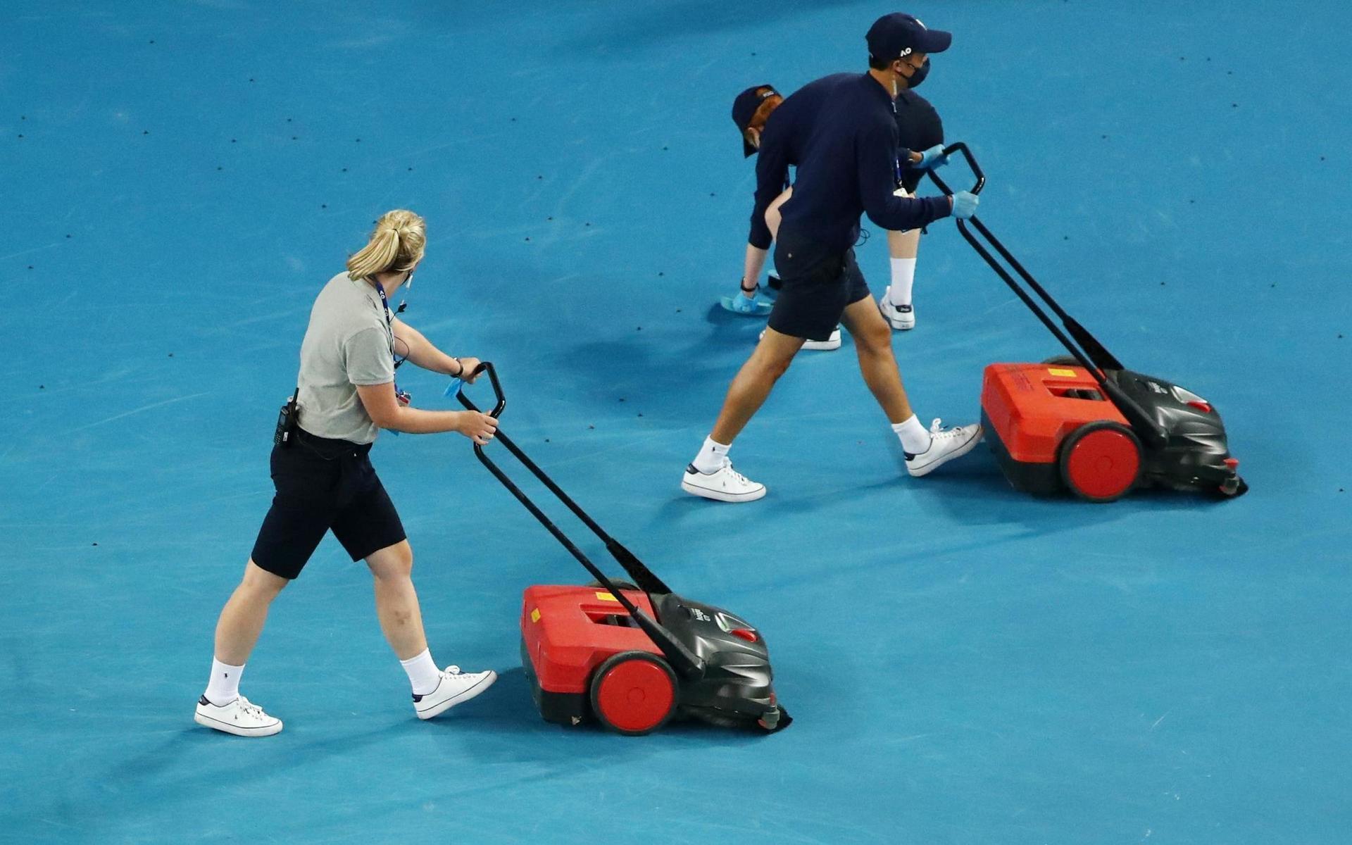 Personalen tvingades städa upp tennisbanorna från skalbaggar under en av onsdagens matcher i Australian Open.