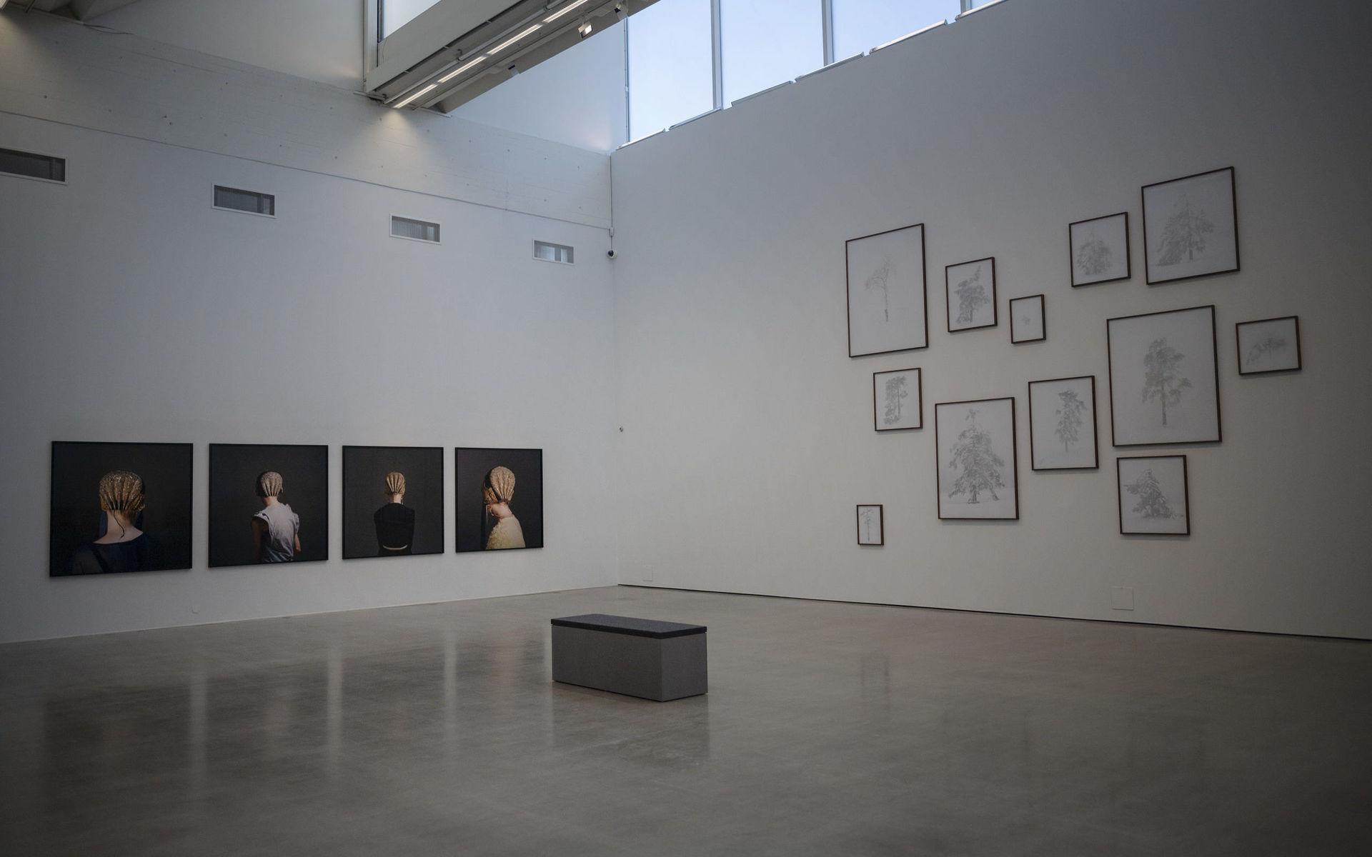I tre luftiga salar på Göteborgs konstmuseum hänger danska Trine Søndergaards lågmält intensiva verk. Utställningen &quot;148 works&quot; pågår 18 april till 20 september.