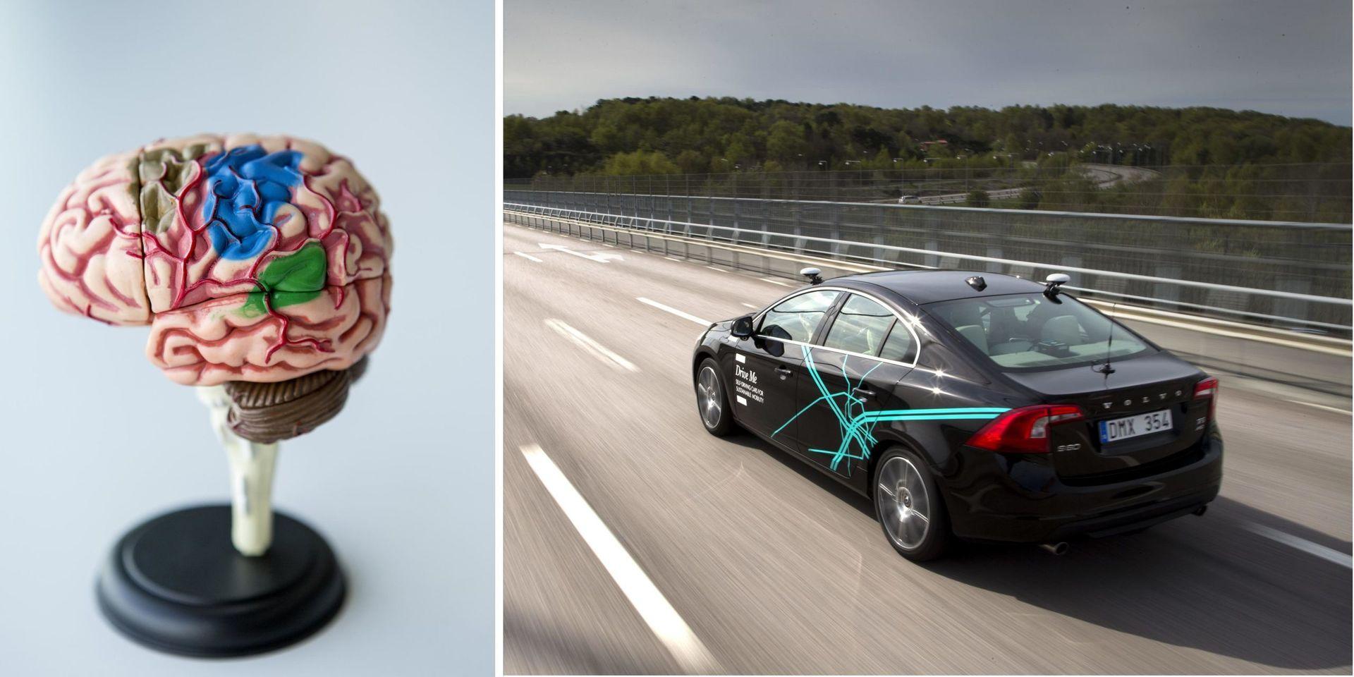 Den mänskliga hjärnans förmåga att uppfatta saker i omgivningen – perceptionen – har utvecklats under hela evolutionen – smarta bilar har några år på sig att göra samma sak.
