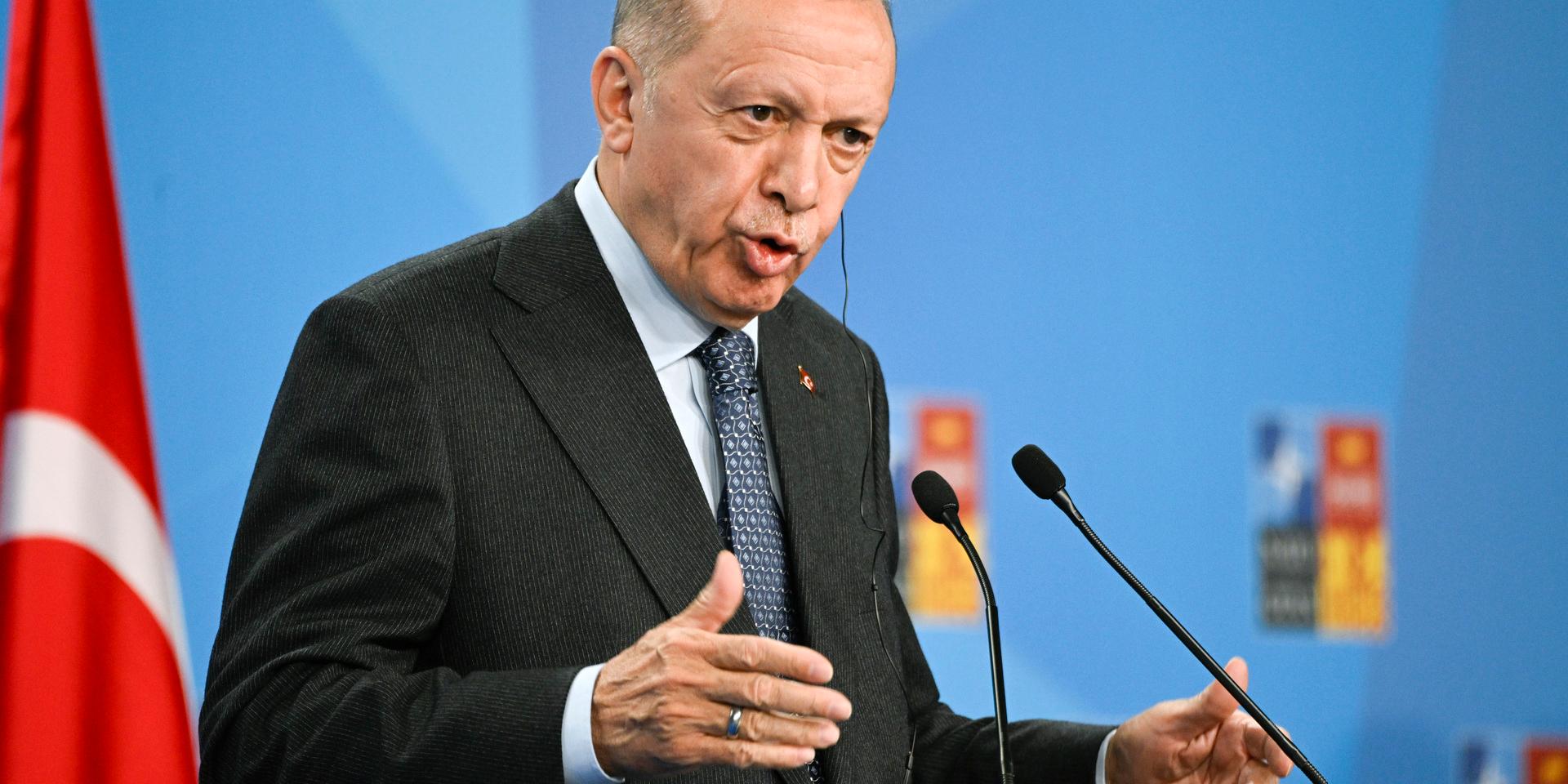 Turkiets president Recep Tayyip Erdogan talar under sista dagen för Natomötet i Madrid.