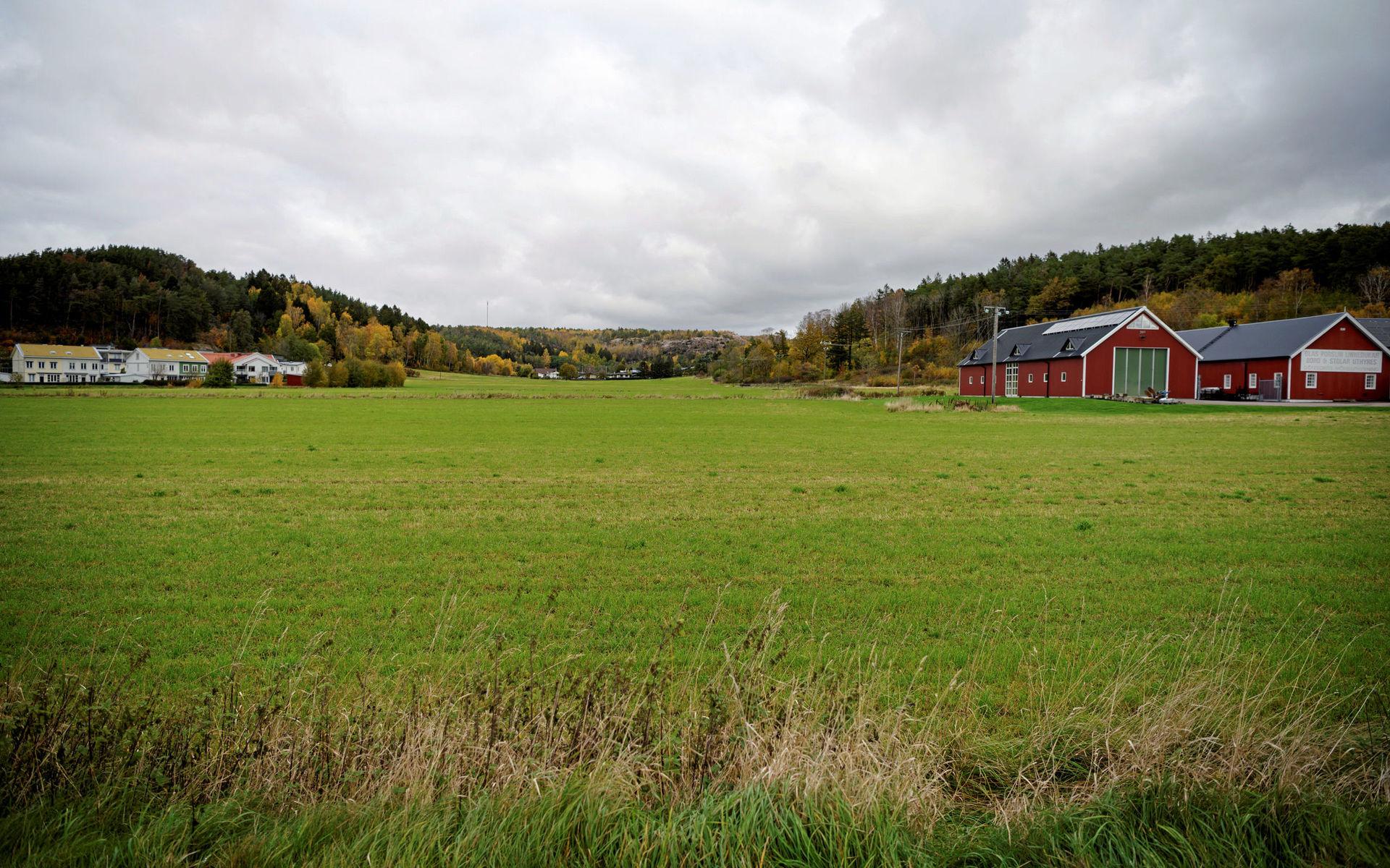 Kyrkan vill utöka kyrkogården till Lilla Fässbergsdalen. 