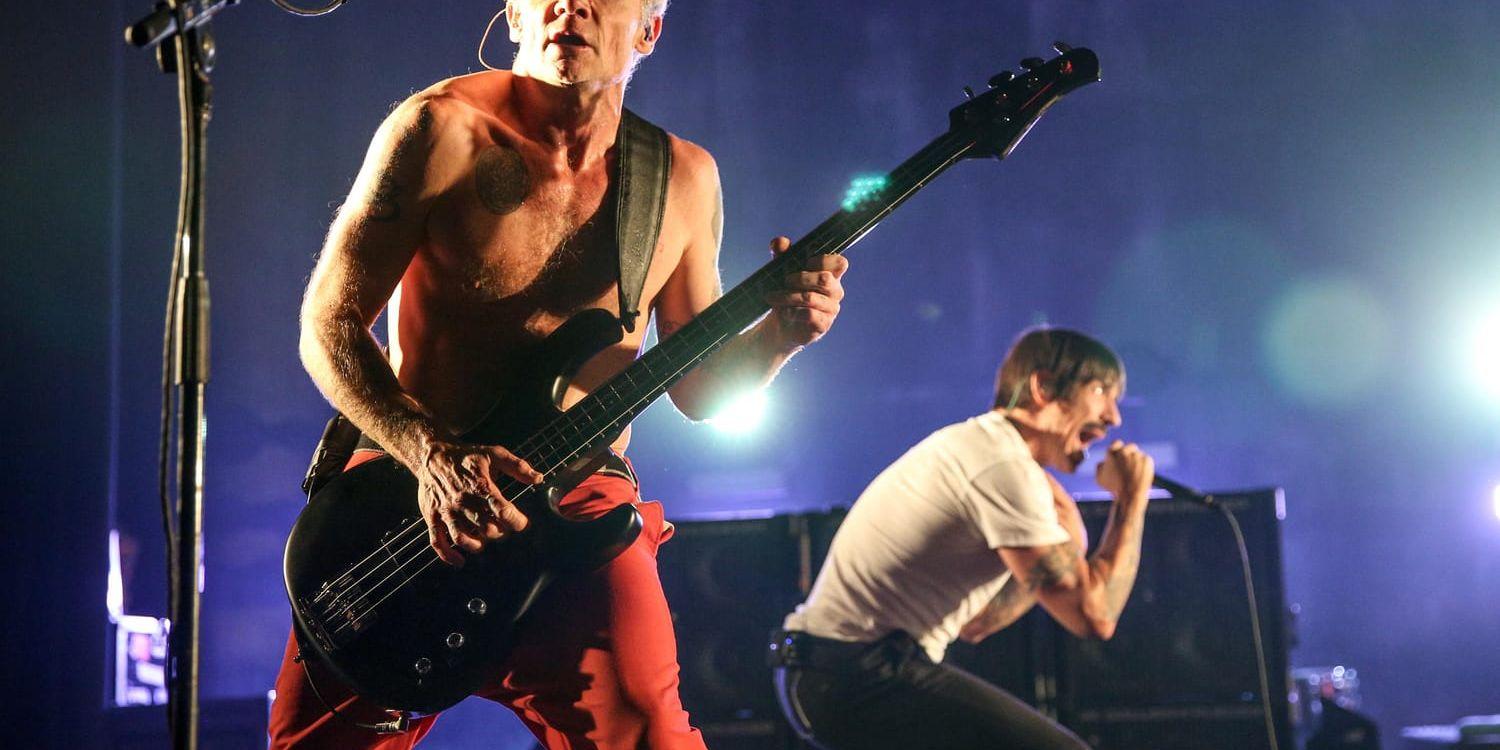 Red Hot Chili Peppers spelar vid pyramiderna i mars. Arkivbild.