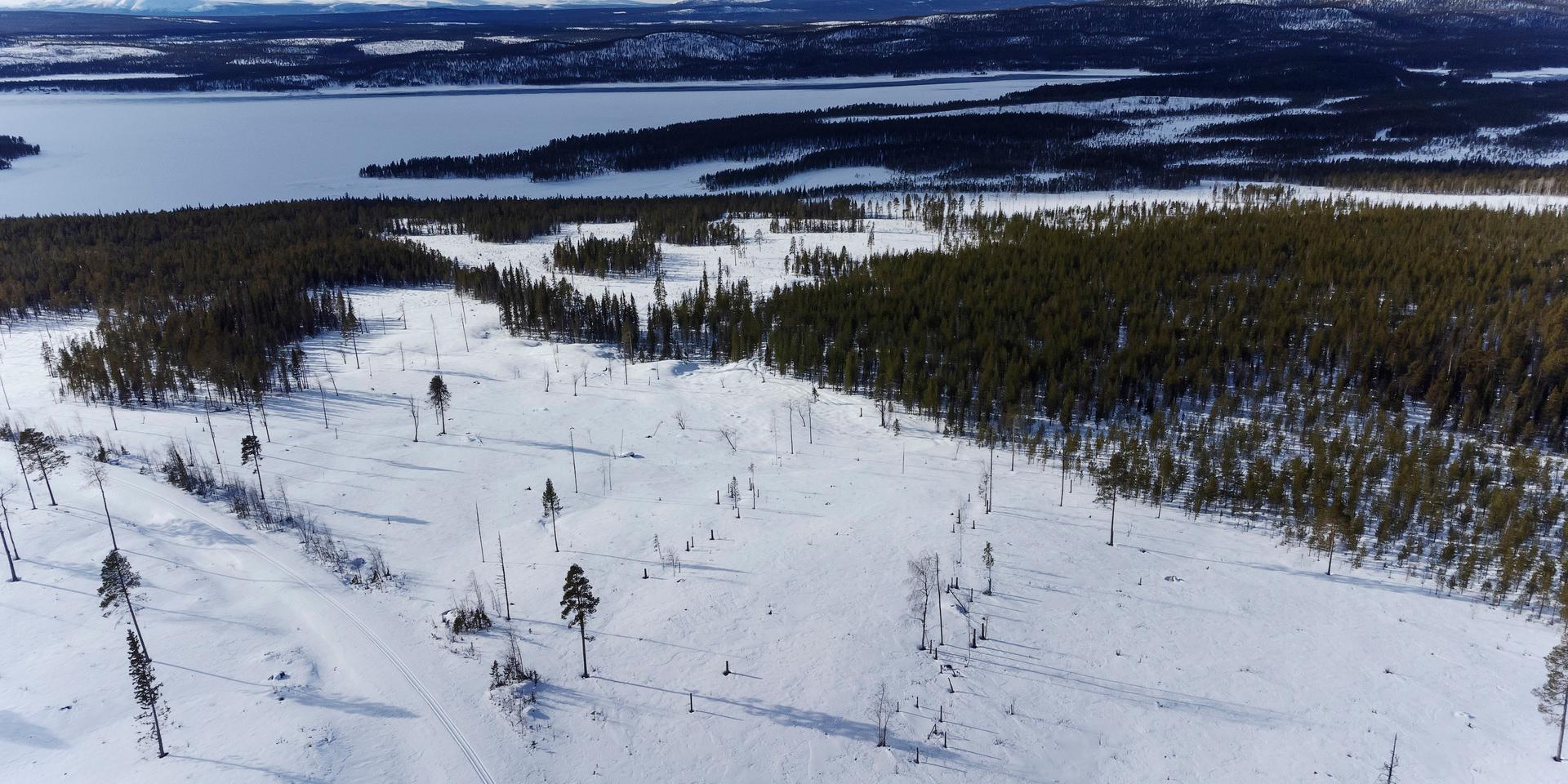 Området där gruvan i Kallak, på samiska Gallok, kan komma att ligga. Arkivbild.