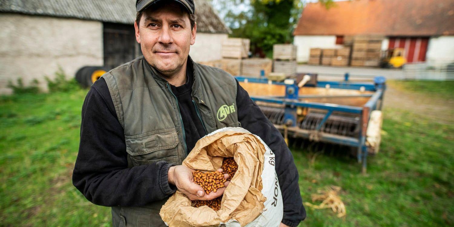 Bonden Göran Wilén från Bjärby på sydvästra Öland odlar bönor till en växande marknad.
