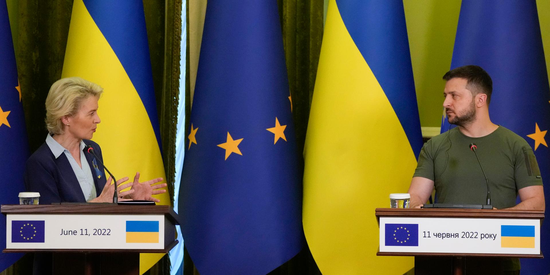 EU-kommissionens ordförande Ursula von der Leyen träffade president Volodymyr Zelenskyj i den ukrainska huvudstaden Kiev på lördagen.