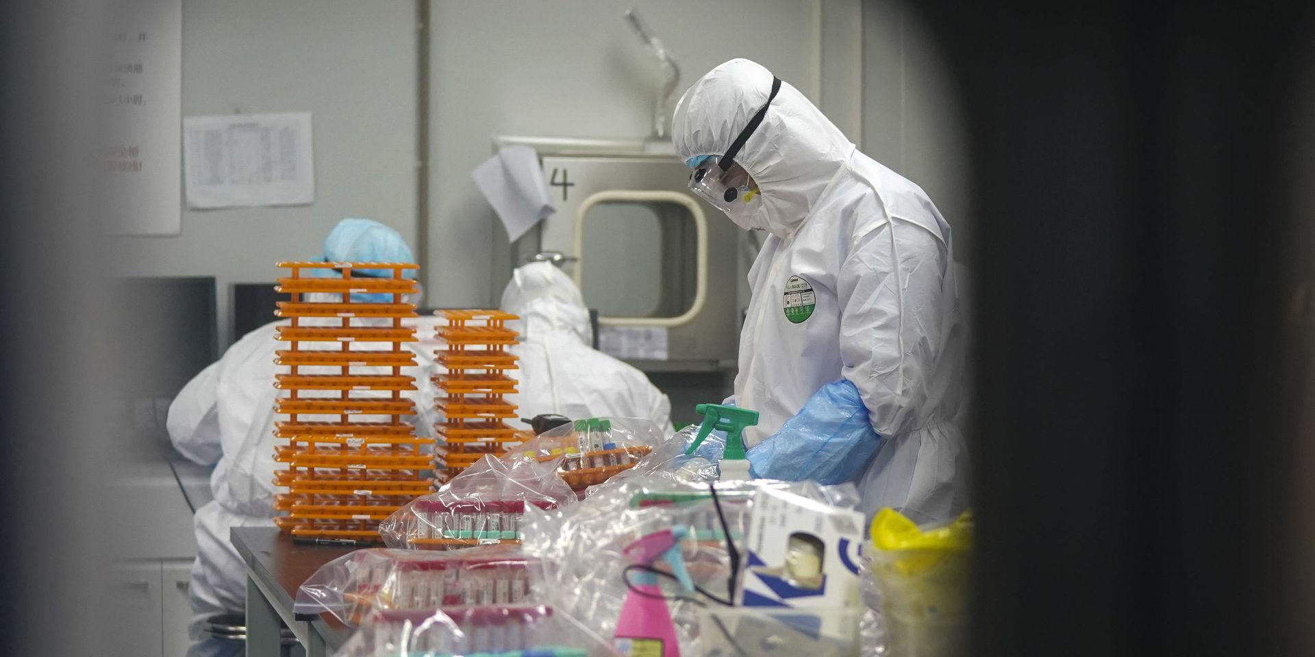 Kina har främst från amerikanskt håll misstänkliggjorts för att ha skapat viruset i ett labb. Teorin har inget stöd av WHO. 