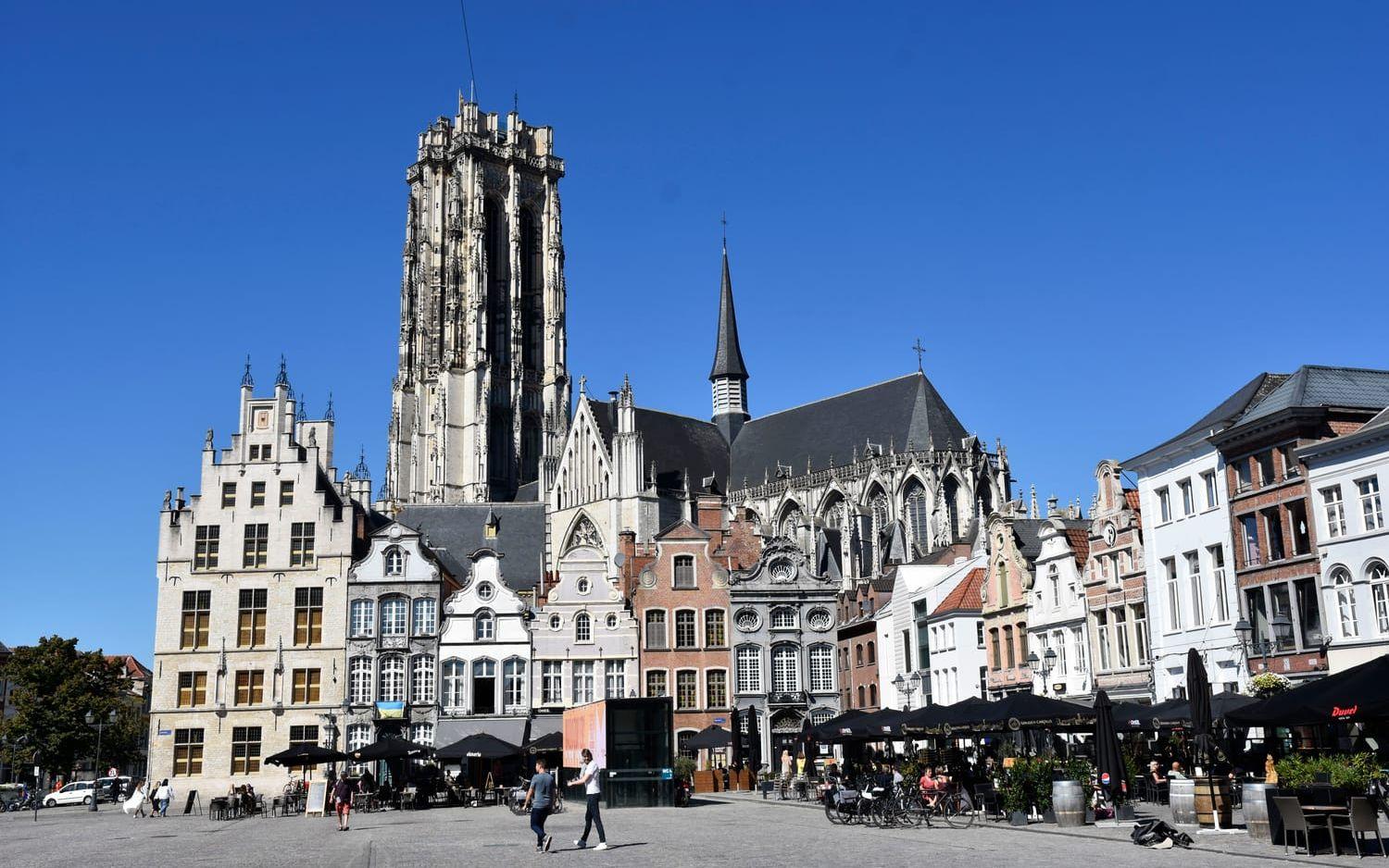 Över Groote markt - Stortorget - i Mechelen reser sig den mäktiga S:t Rumboldkatedralen, en gång i tiden byggd för att bli världens högsta. Pengabrist och rasrisk gjorde dock att tornet i stället fick sitt nu karaktäristiskt avhuggna utseende.