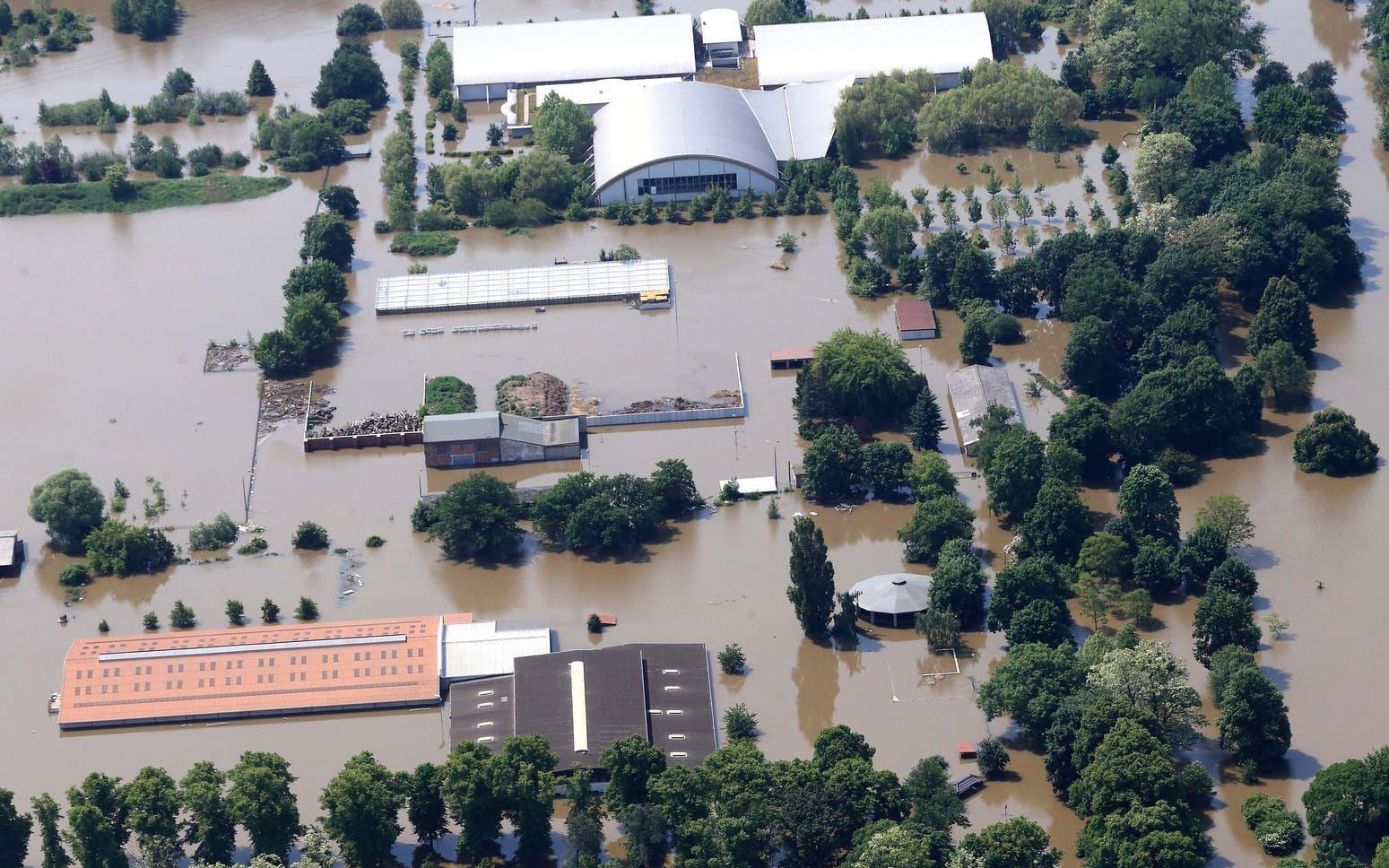 Stora delar av Tyskland hamnade under vatten efter en storm 2013. Europa har de senste 17 åren drabbats av 40 stormar som varit så stora att de getts namn. Bild: TT 
