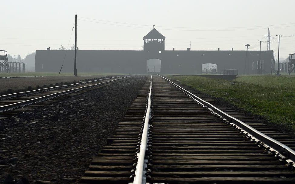 Fångarna deporterades till lägret via tåg. Av människorna som miste livet i förintelselägret uppskattas 232 000 ha varit barn.