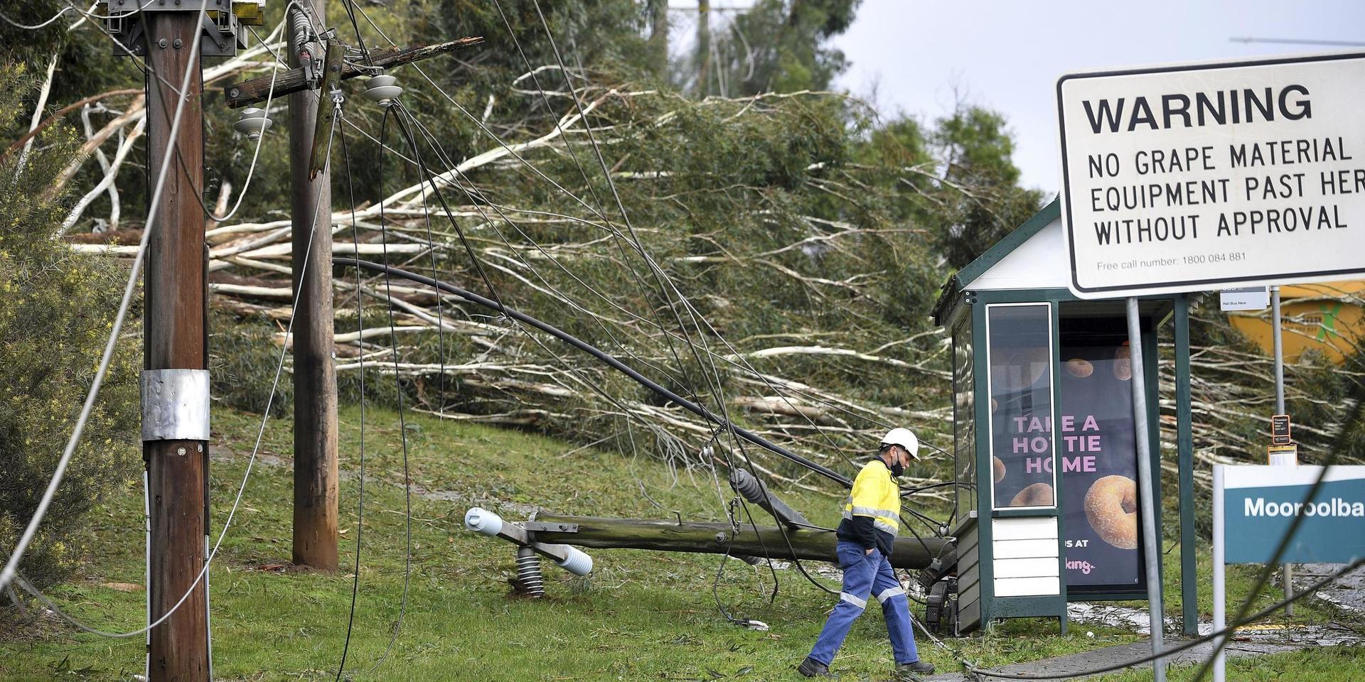 Södra Australien har drabbats av hårda vindar och kraftigt regnfall, i staden Melbourne har träd och elledningar blåst omkull.