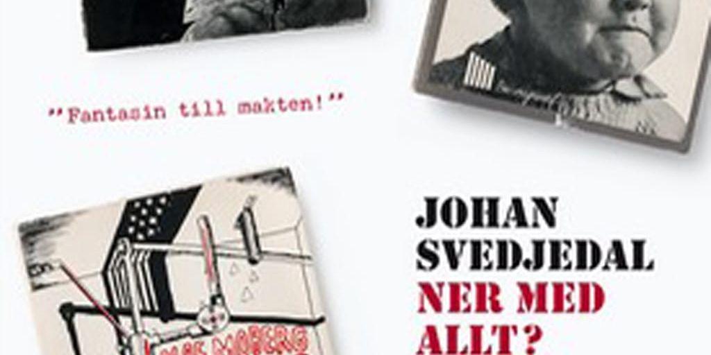 Johan Svedjedal | Ner med allt?
