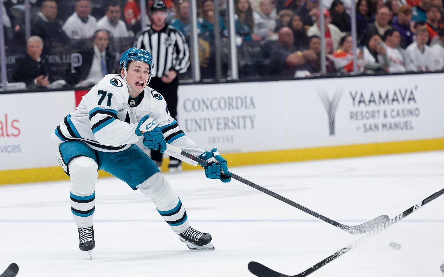 San Jose Sharks Macklin Celebrini. Arkivbild.