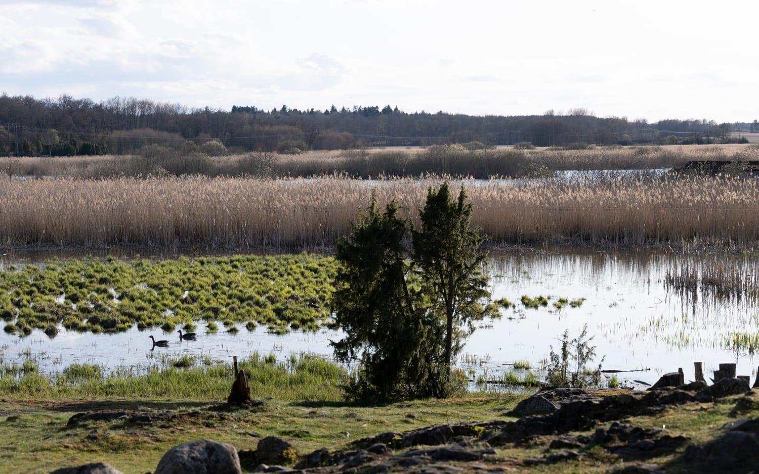 Naturreservatet Hjälstaviken i Enköpings kommun är ett populärt besöksmål för friluftsliv och fågelskådare. Nu misstänker polisen att flera tonåringar mördat en man på platsen. 