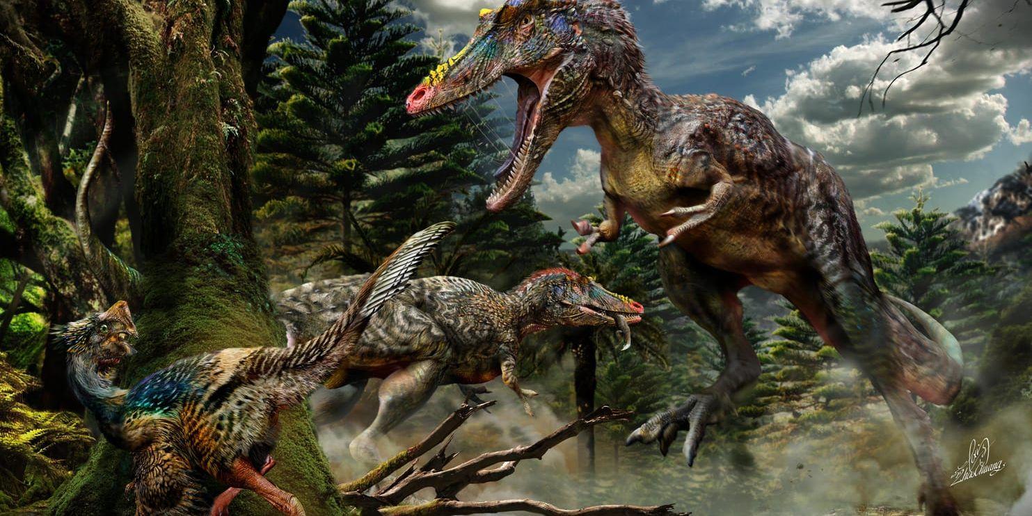 För flera miljoner år sedan innehöll luften bara hälften så mycket syre som i dag. Detta borde dock inte ha inneburit några problem för dinosaurierna, eftersom deras lungor påminde om dagens fåglars. För däggdjuren, däremot, kan det haft en avgörande betydelse. På bilden en helt ny typ av en långnosad rovdinosaurie som kinesiska forskare upptäckte för några år sedan. Eftersom den var nära släkt med Tyrannosaurus rex fick den smeknamnet Pinocchio rex.
