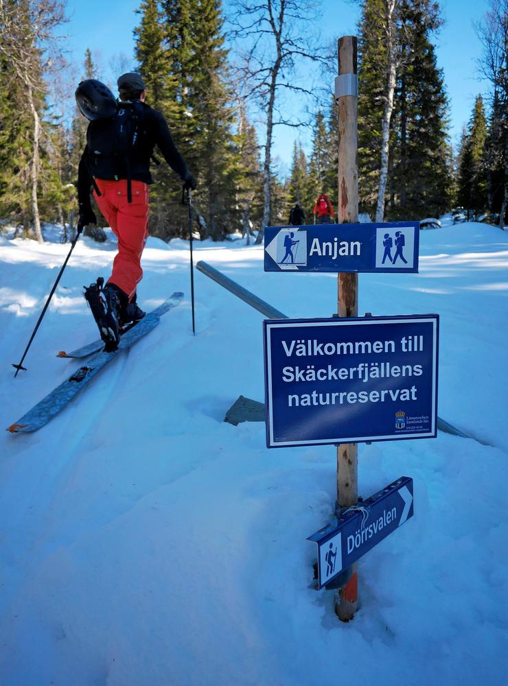 Naturälskande freeriders. Ville Nilsson, 24 år från Undersåker, tillhör den skara som alltmer vill uppleva orörd natur och snö genom att topptura upp- och nerför fjälltopparna.