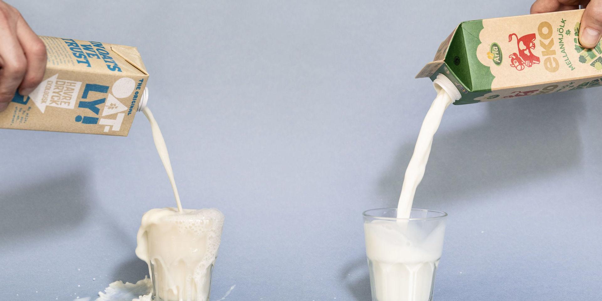 Reklamkampanjen 'Spola mjölken' från havredrycksföretaget Oatly upprör spannmålsodlare, som inte längre är sugna på att leverera sin havre till företaget. 