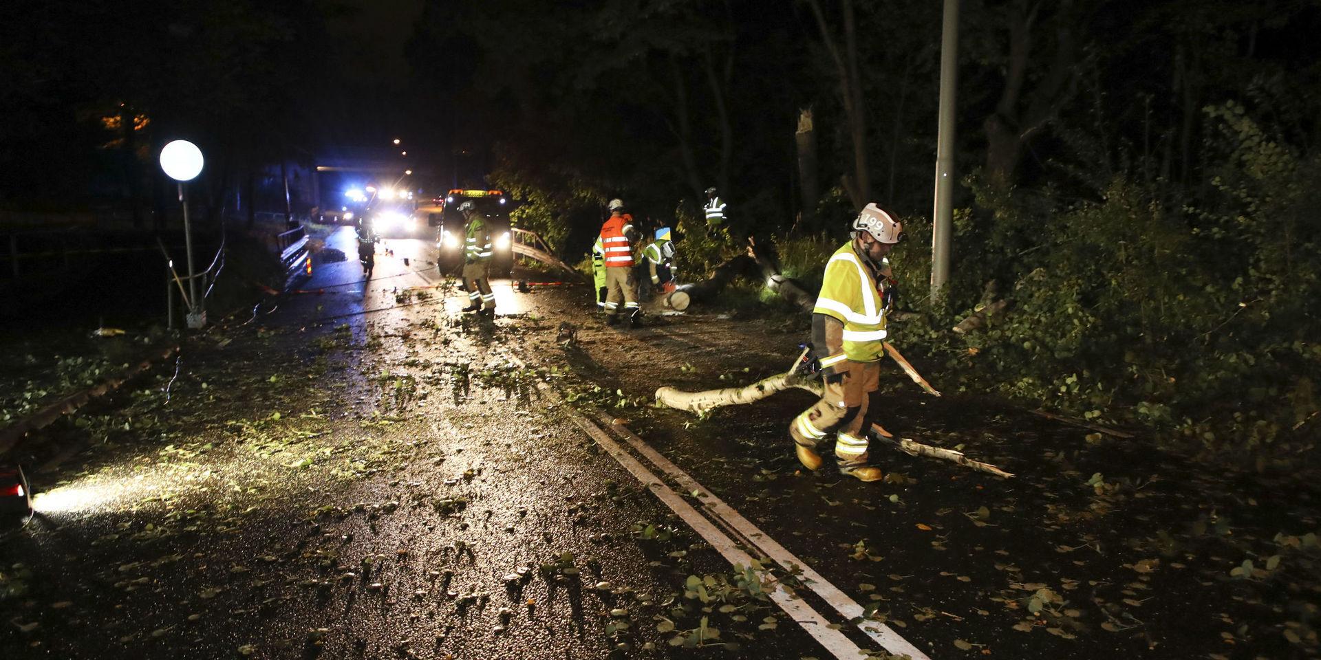 Bilden är tagen vid ett annat tillfälle. Räddningstjänsten röjer upp efter att ett träd fallit över en personbil på Gamlestadsvägen. 
