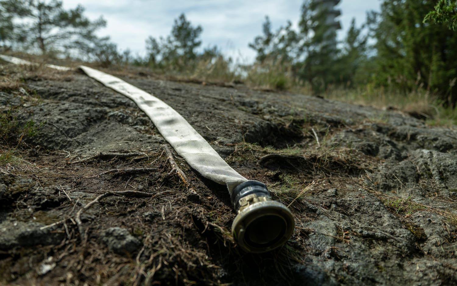 Det råder risk för bland annat skogsbränder. Arkivbild.