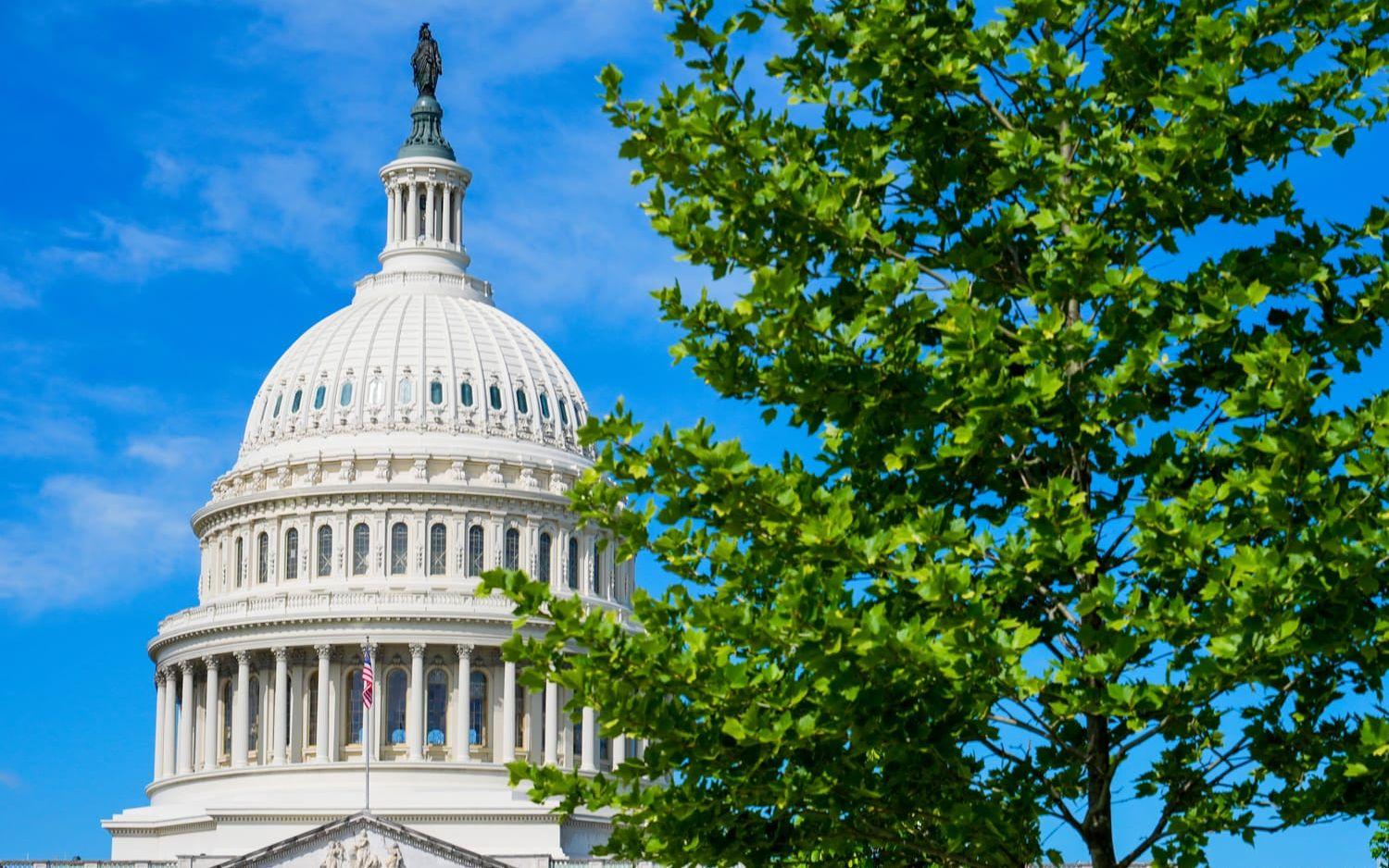 USA:s kongress Kapitolium i Washington DC.