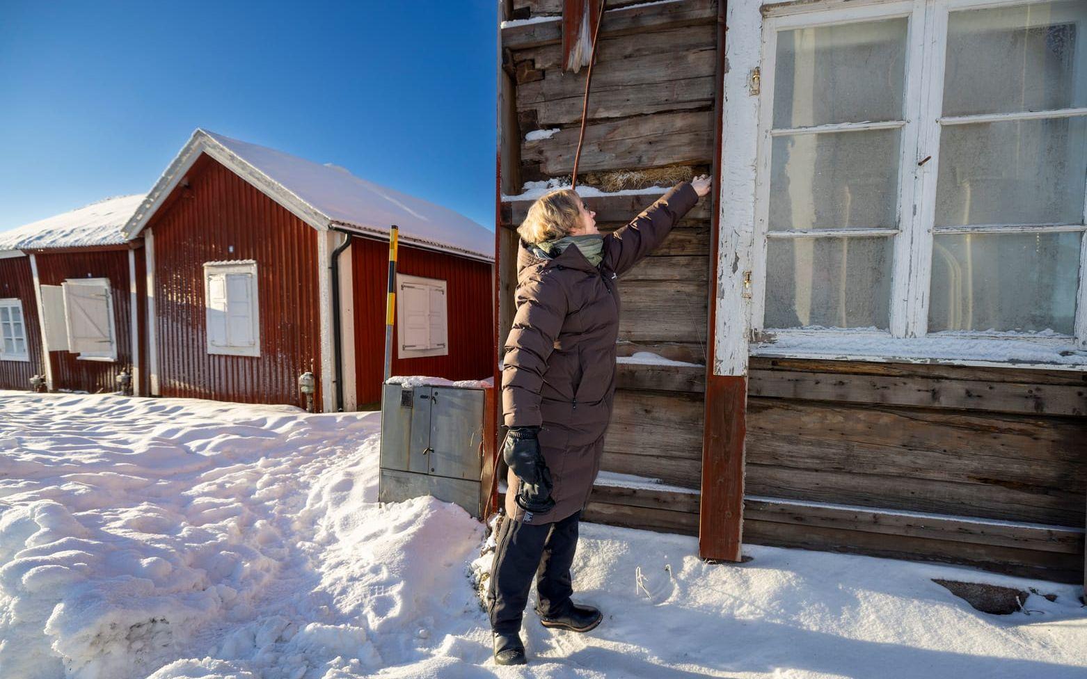 Anna Elmén Berg inspekterar en av stuga där fasaden måste renoveras.