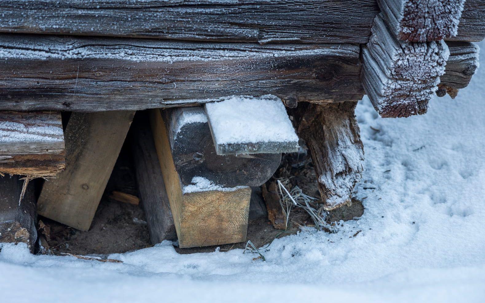 De gamla stockarna har murknat och stugan måste pallas upp för att inte rasa.