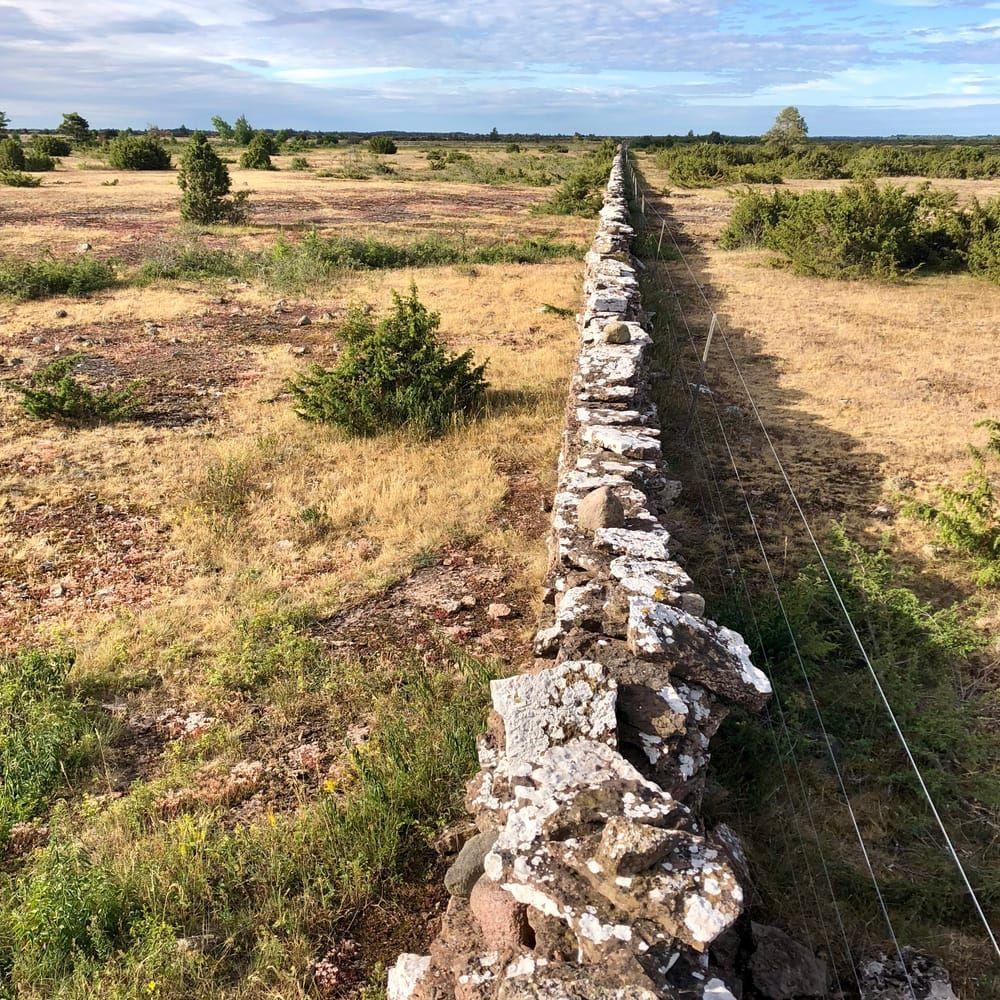 Mittmuren delar hela Stora alvaret. Den ska vara en av de första murarna som tillkom efter att kronans marker delades upp i början av 1800-talet.
