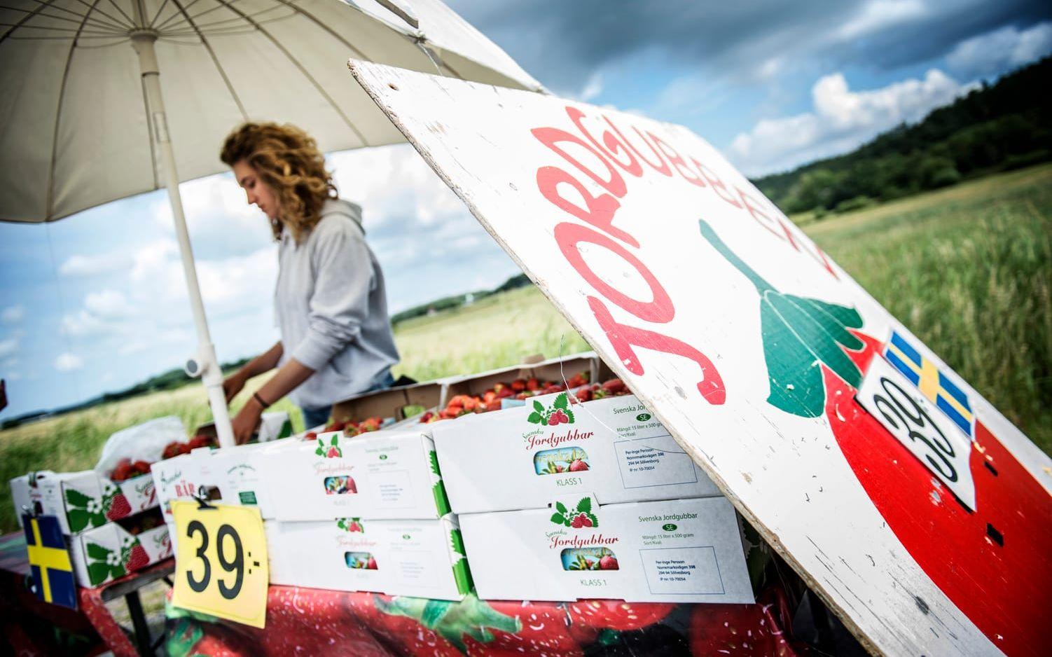 Martina Oncheva säljer jordgubbar vid vägkanten i Säve. Idag kostar de 39 kronor litern förra veckan 45 kronor.